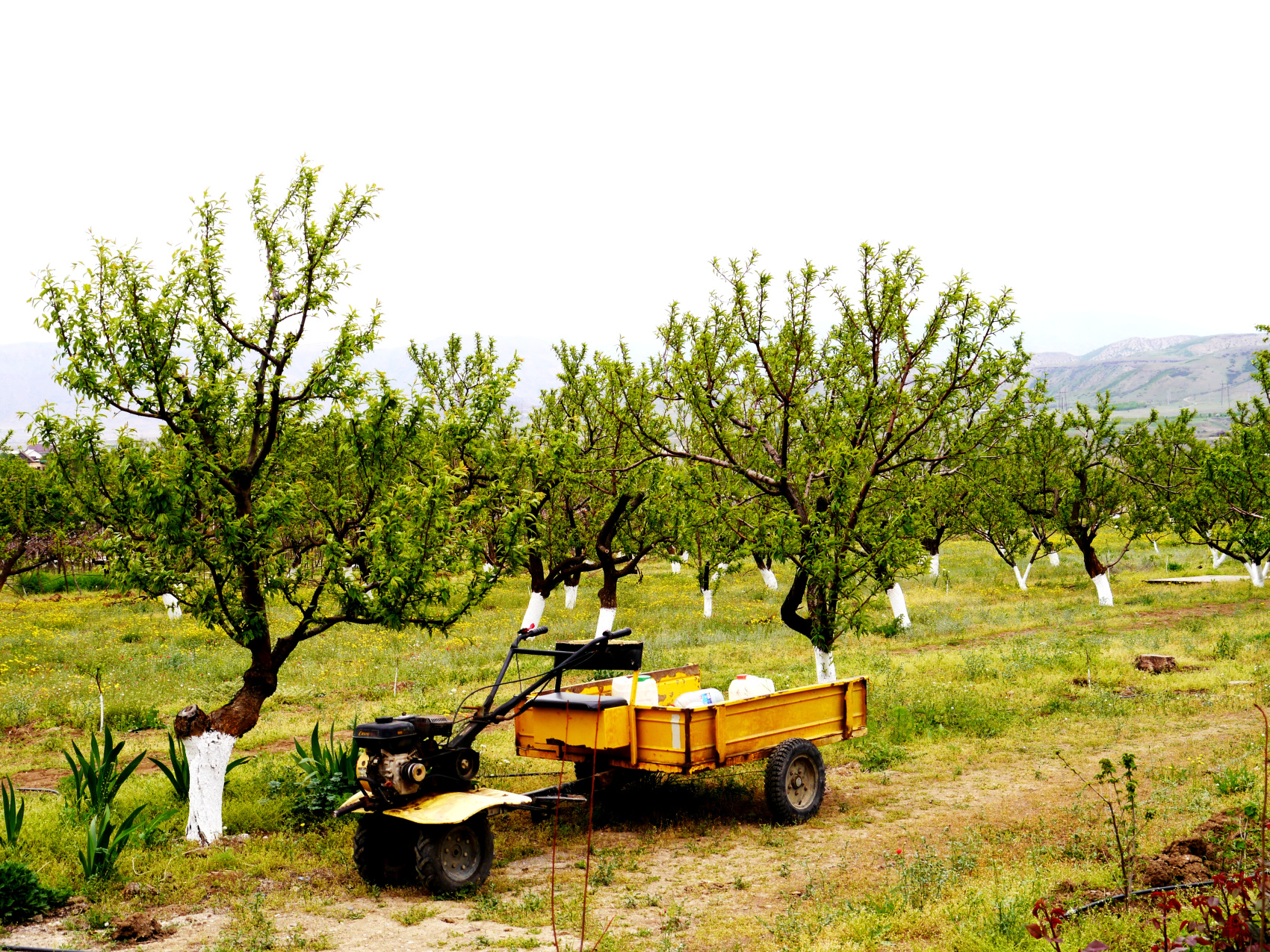 Шикарные выходные в Дагестане: Сарыкум, Сулакский каньон и ещё красоты (6/15)