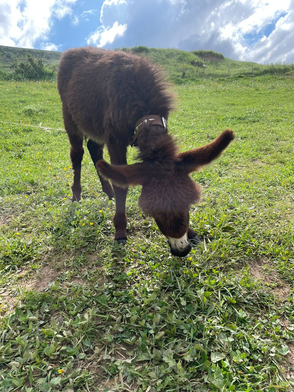 Дагестан гостеприимный - в гостях у горцев! 5 дней в Дагестане (6/35)