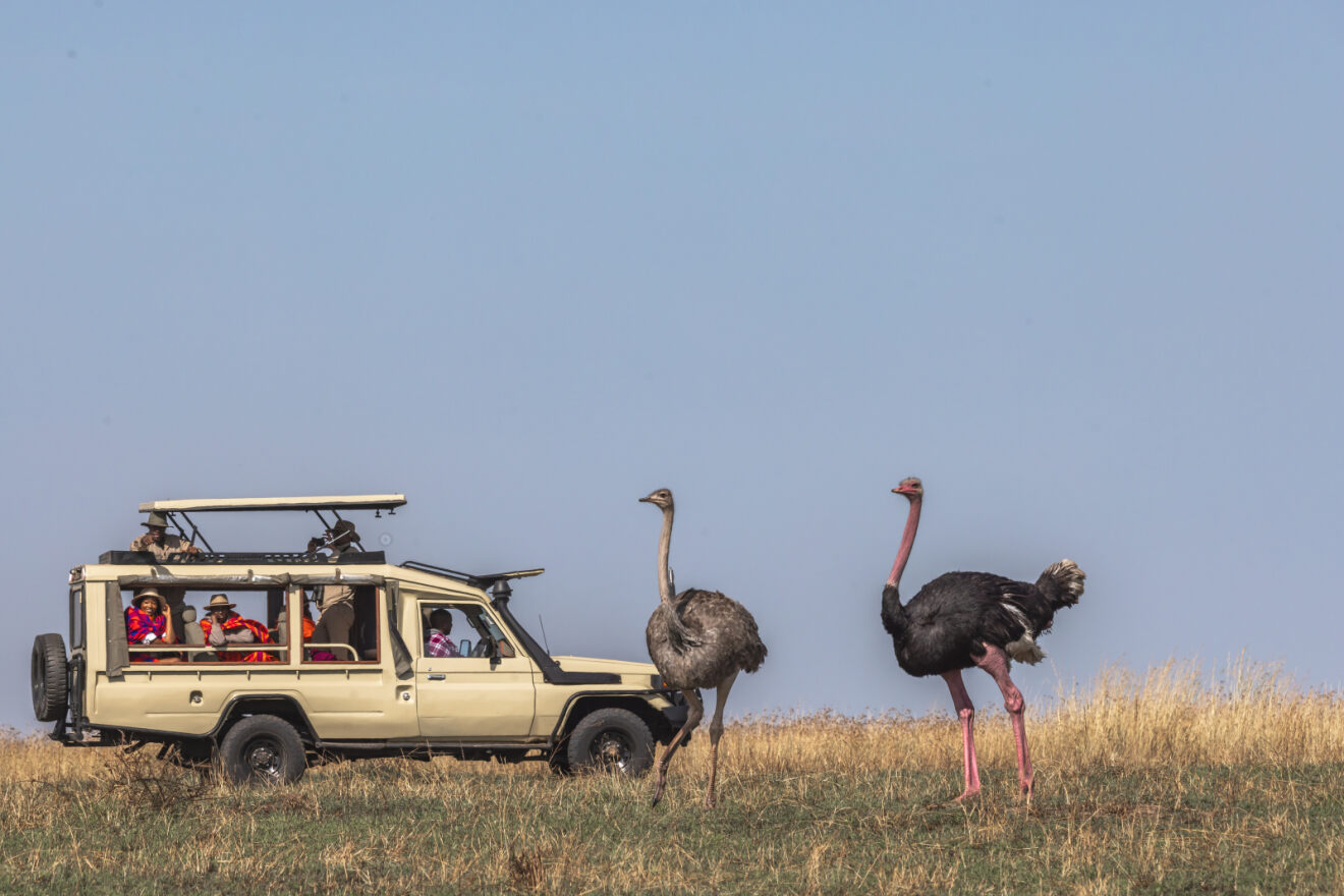 Сафари в Кении по Рифтовой долине 5 дней (7/15)