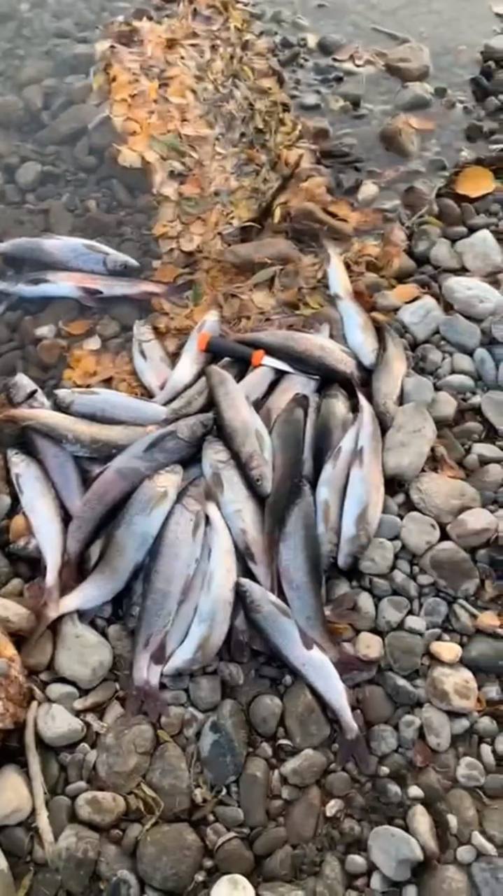 РЫБАЛКА НА СЕВЕРЕ БАЙКАЛА (8/32)