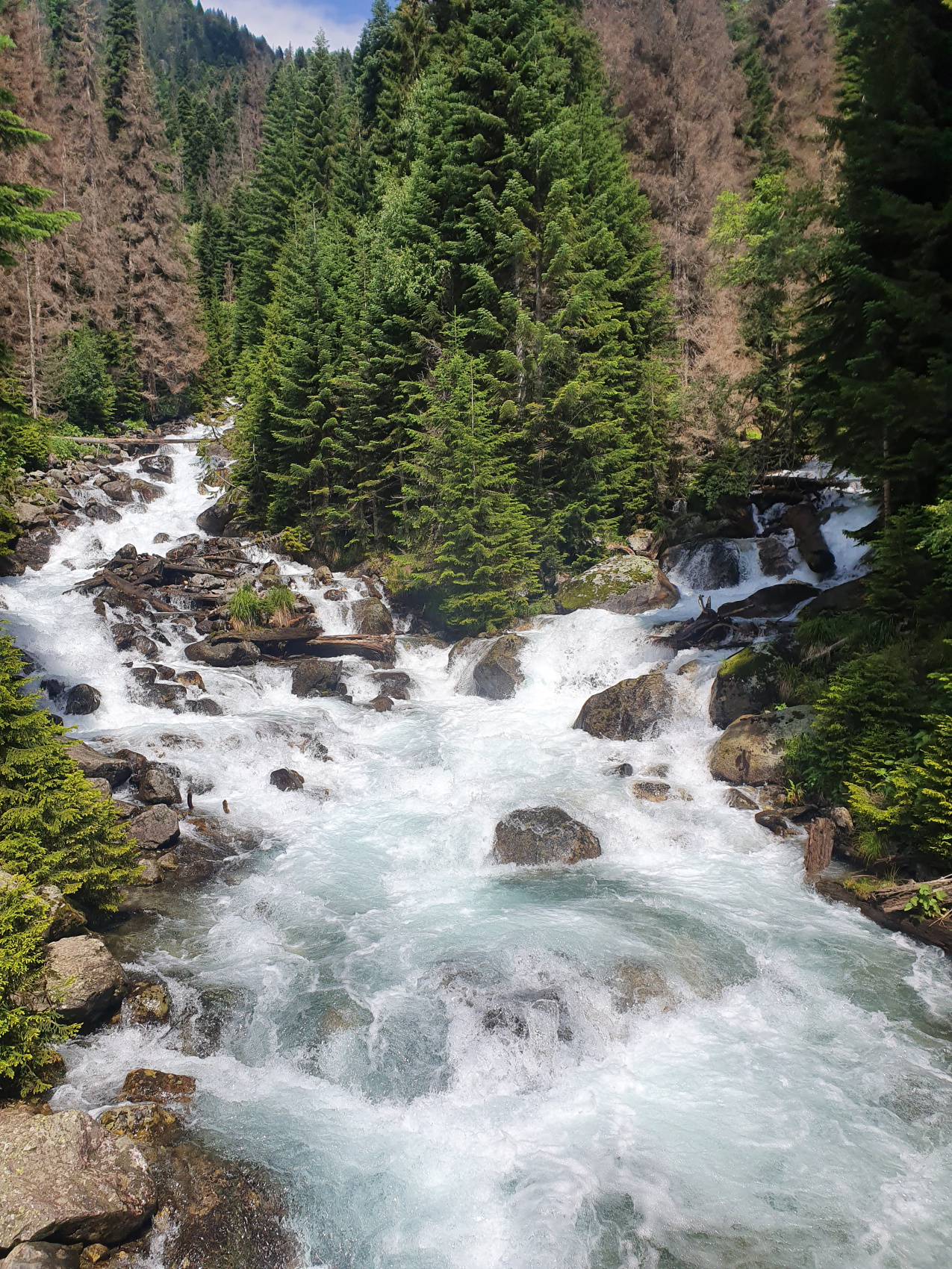 Однажды в Домбае (16/16)