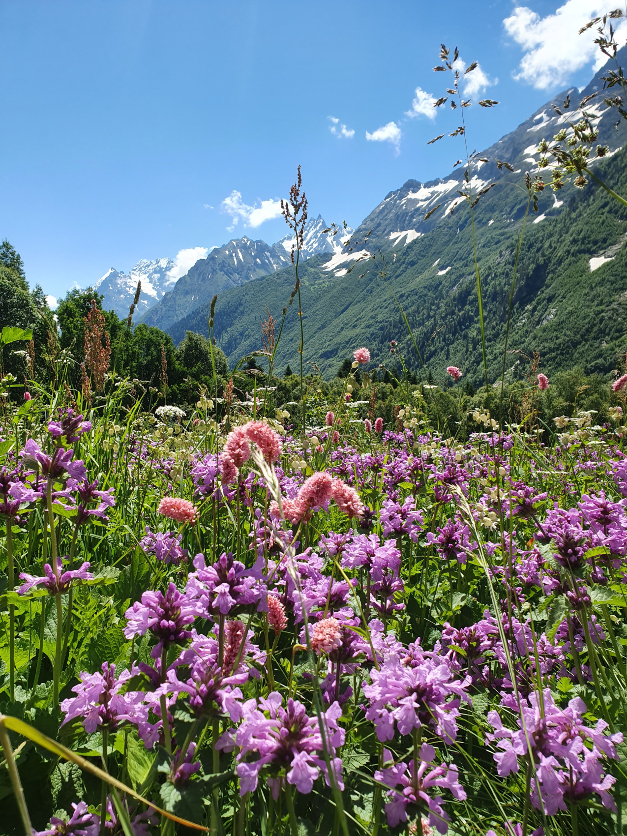 Тур в Домбай Вам и не снилось (12/14)