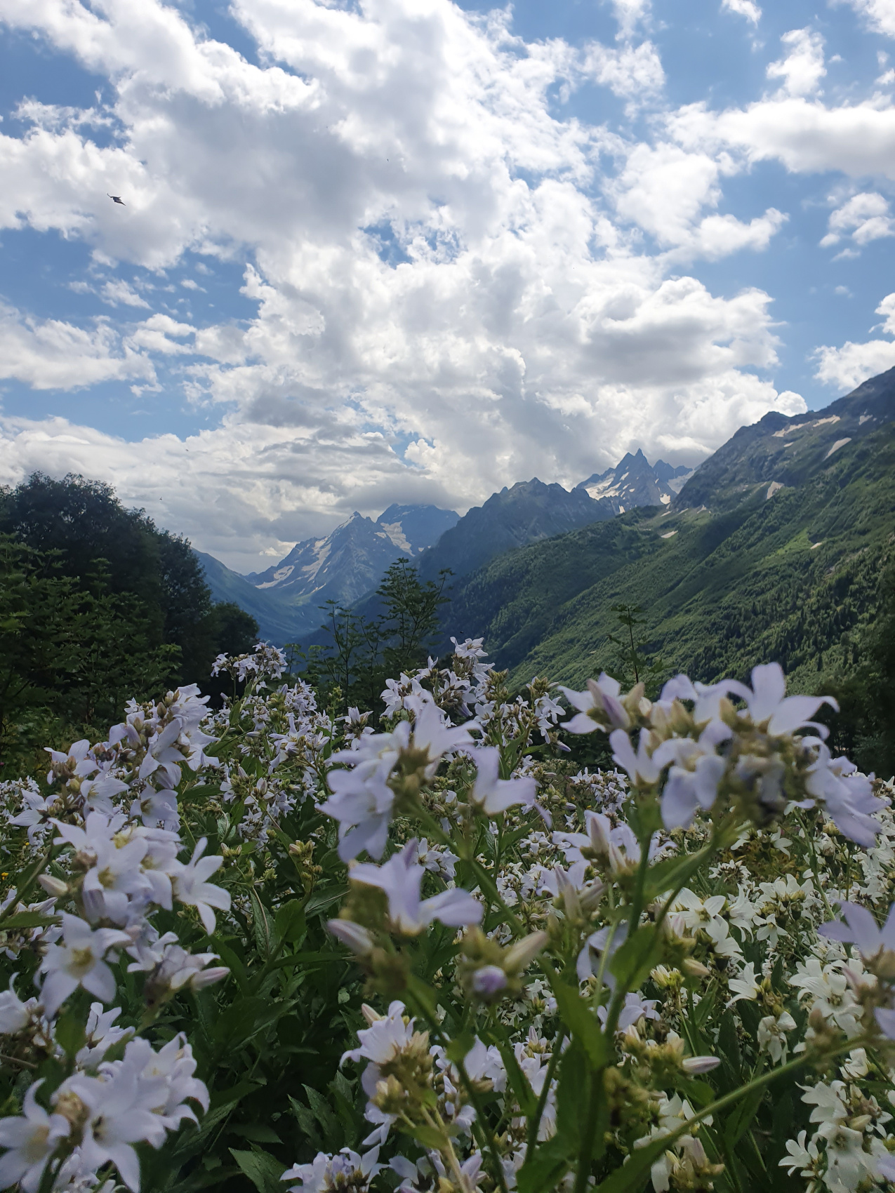 Тур в Домбай Вам и не снилось (8/14)