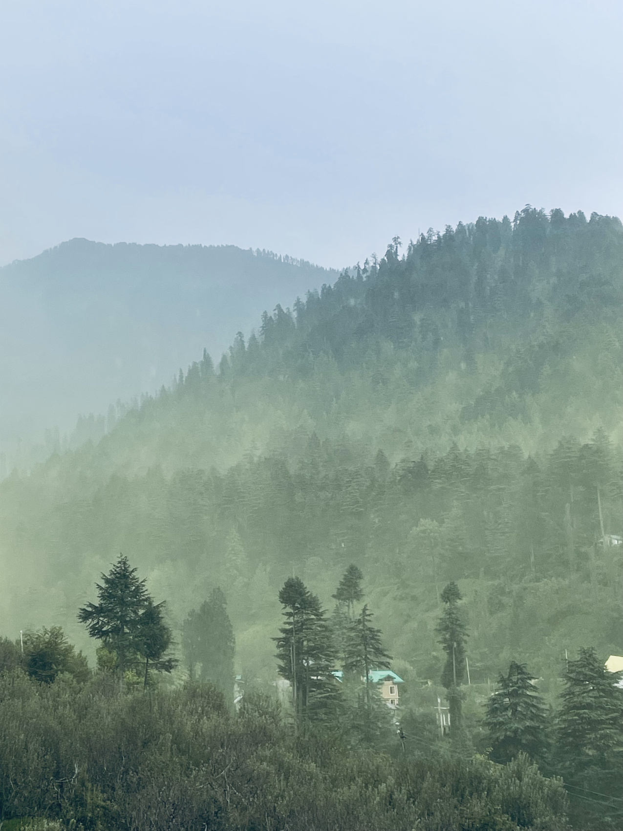 Ретрит Гималаи в движении: 7 долин, 20 храмов, подъем на 5600 м ( не пешком;) (23/68)