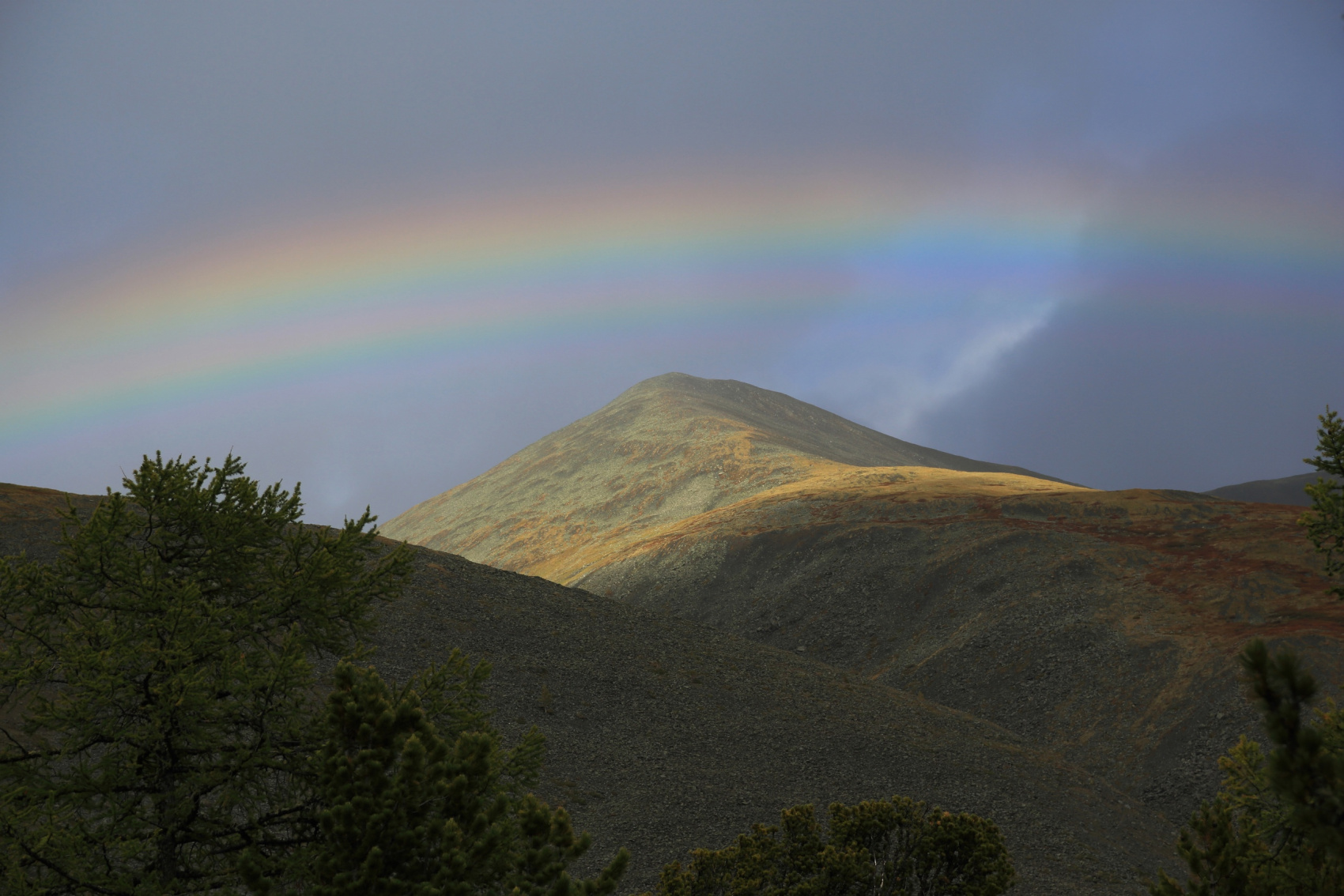 К подножью Белухи и Кучерлинскому озеру (5/43)