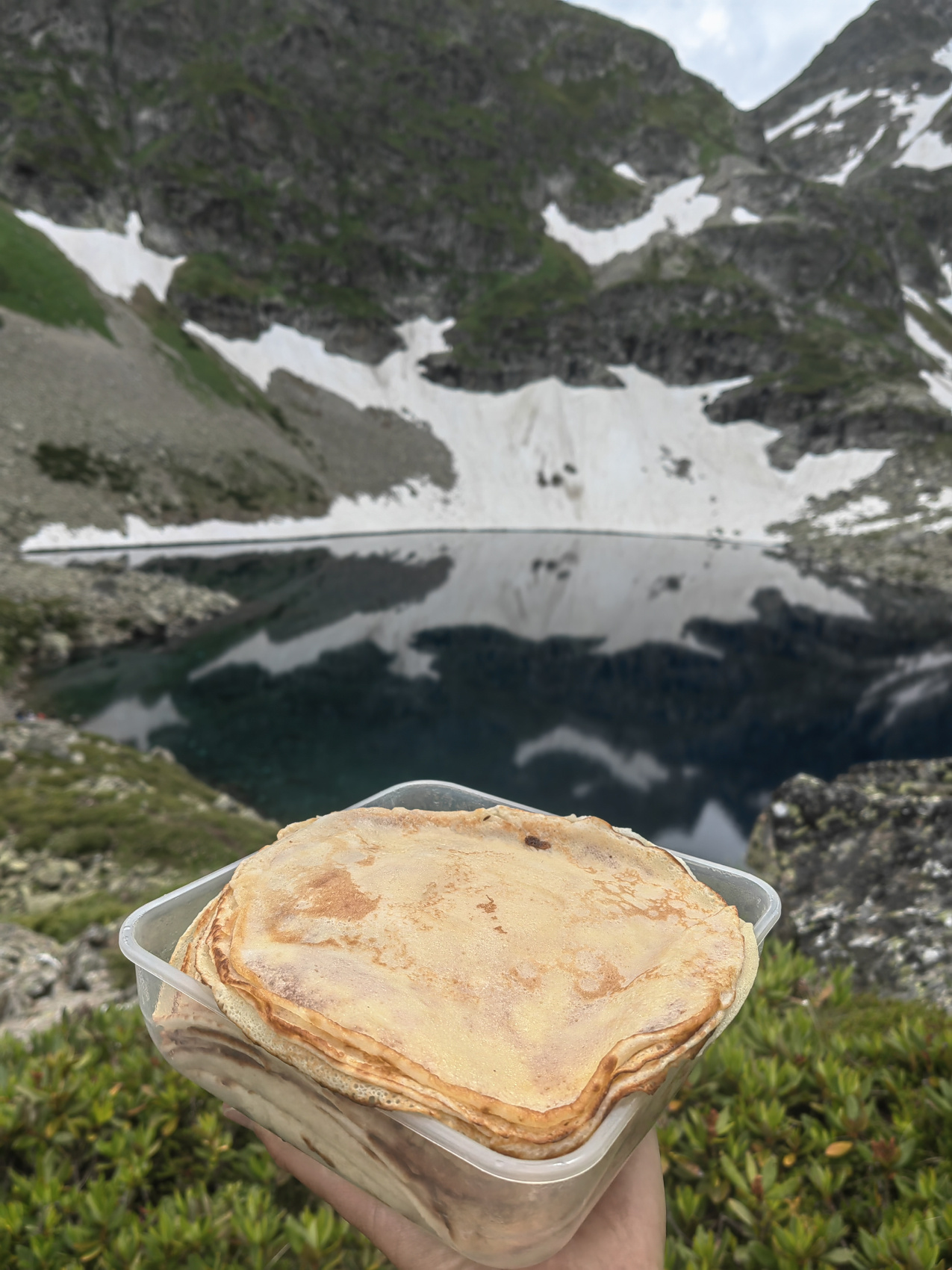 Архыз с комфортом в компании маламута! (19/54)