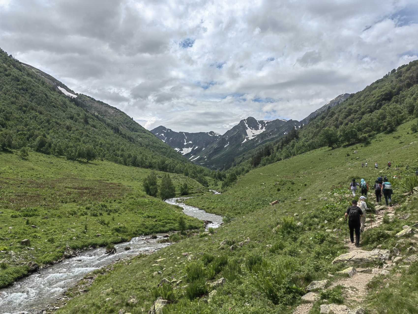 Архыз с комфортом в компании маламута! (25/54)