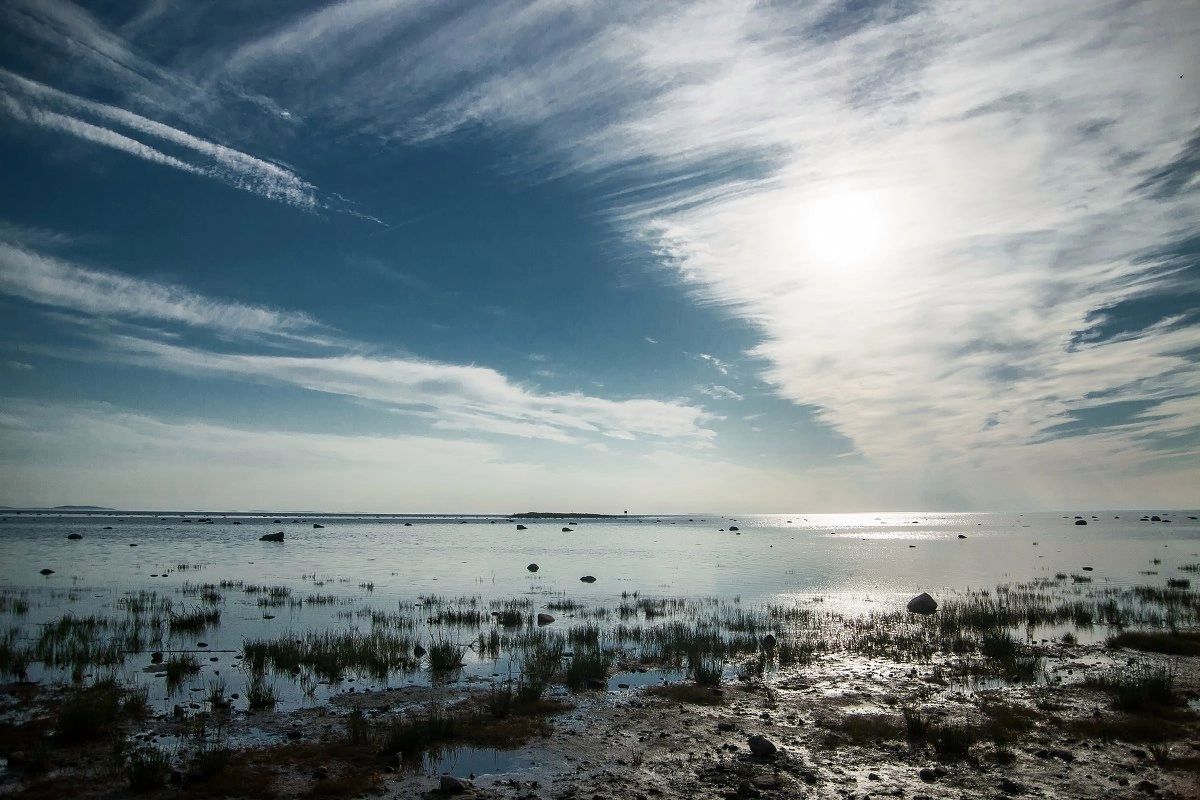 Соловки  Где Природа Встречается С Историей (18/30)