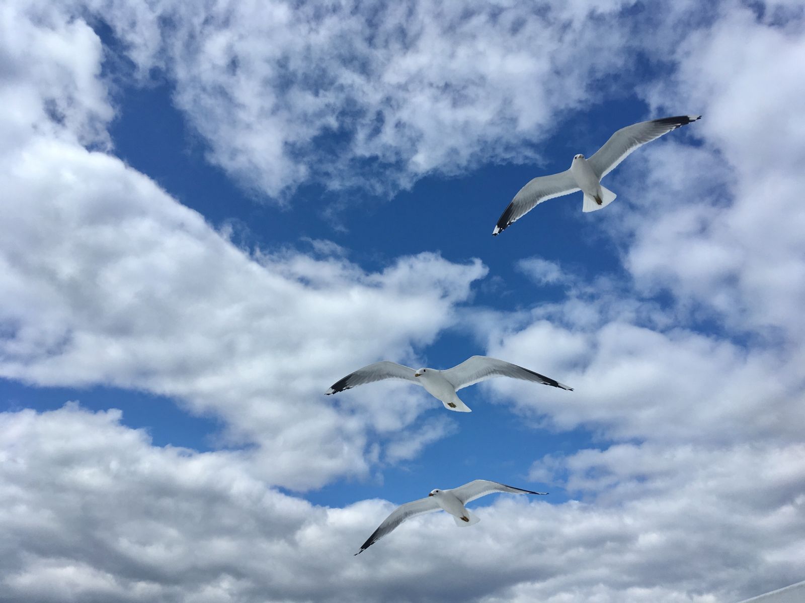 Соловки  Где Природа Встречается С Историей (9/30)