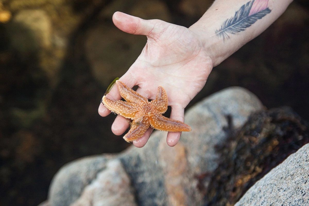 Соловки  Где Природа Встречается С Историей