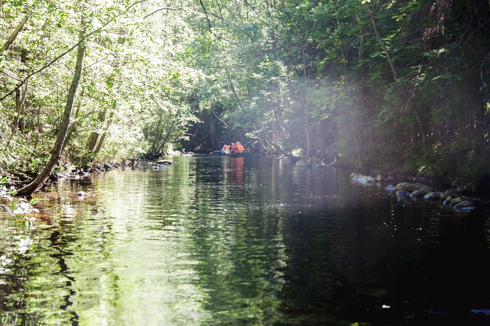 Соловки  Где Природа Встречается С Историей (12/30)