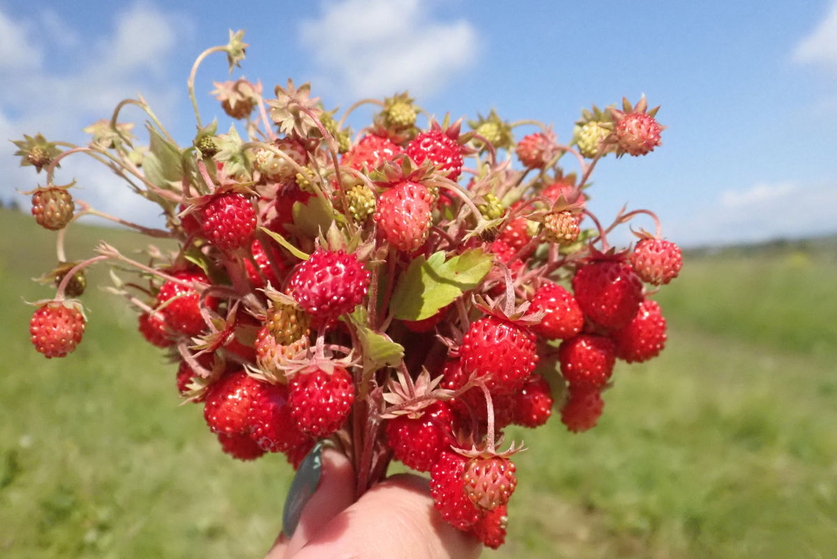 Аномальная зона - Молёбка. Пермский край (9/21)