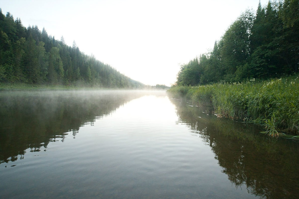 Аномальная зона - Молёбка. Пермский край (5/21)