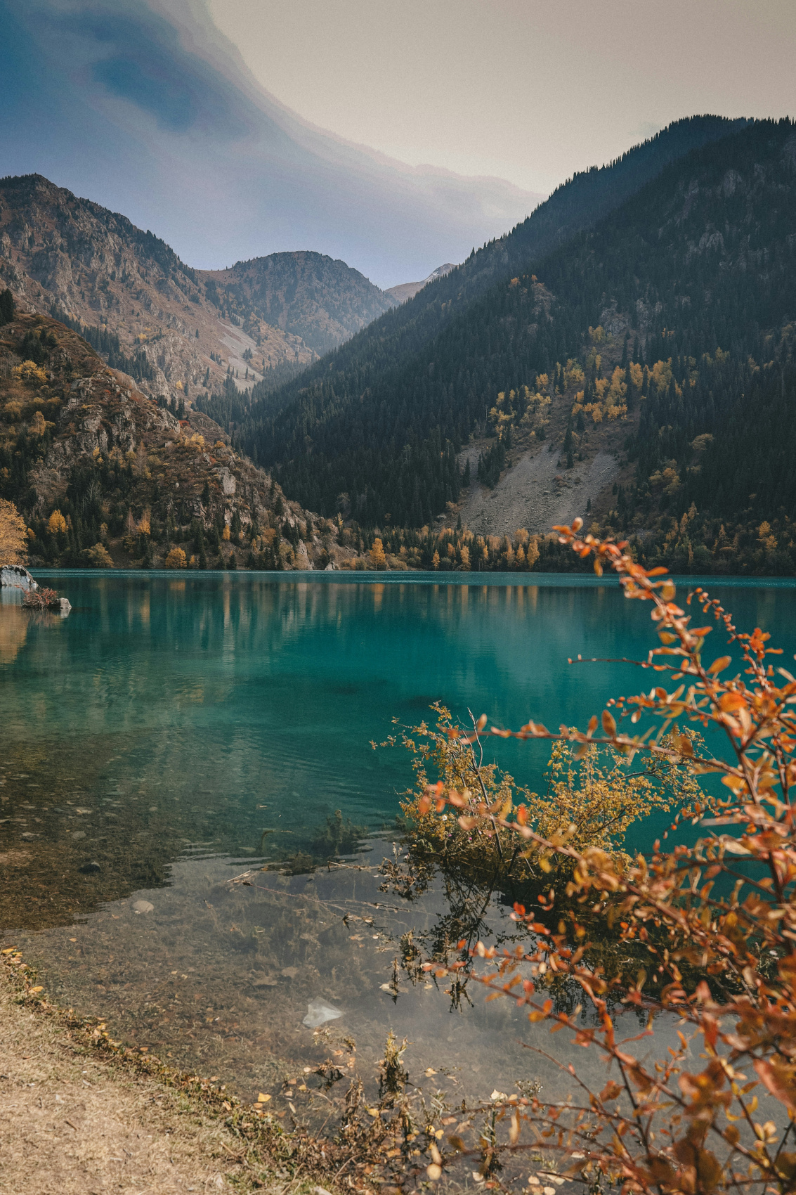 Тяньшань  Властелин небес. Затерянный мир Киргизии (7/27)