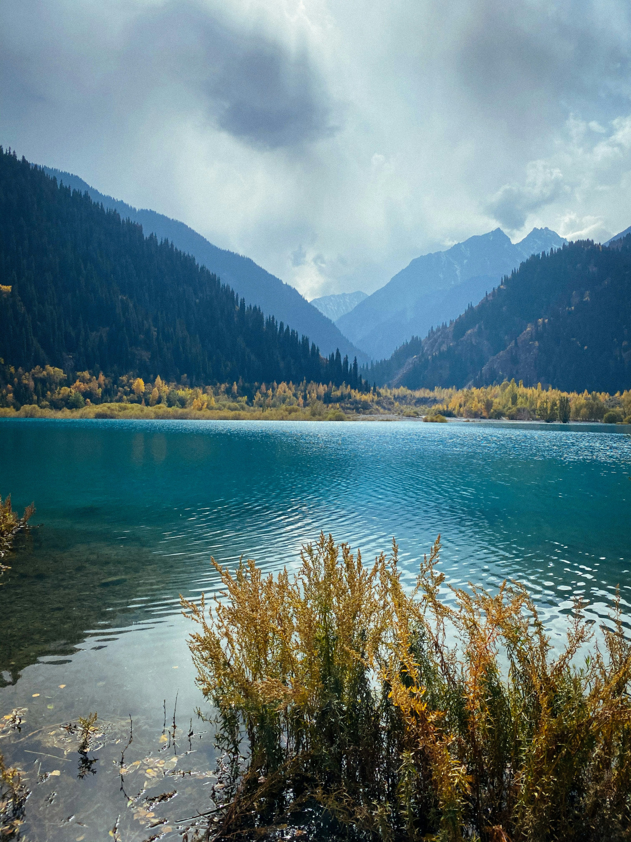 Тяньшань  Властелин небес. Затерянный мир Киргизии (6/27)