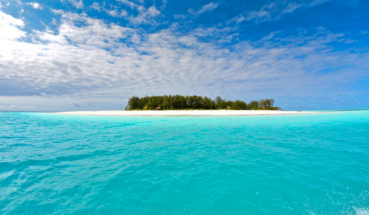 Занзибар, пляжный отдых + активности: Отель Gold Zanzibar 5  9дней/8н (6/9)