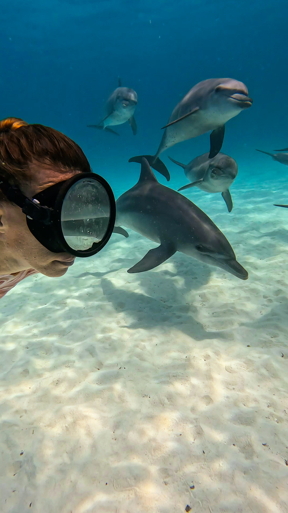 Занзибар, пляжный отдых + активности: Отель Gold Zanzibar 5  9дней/8н (7/9)