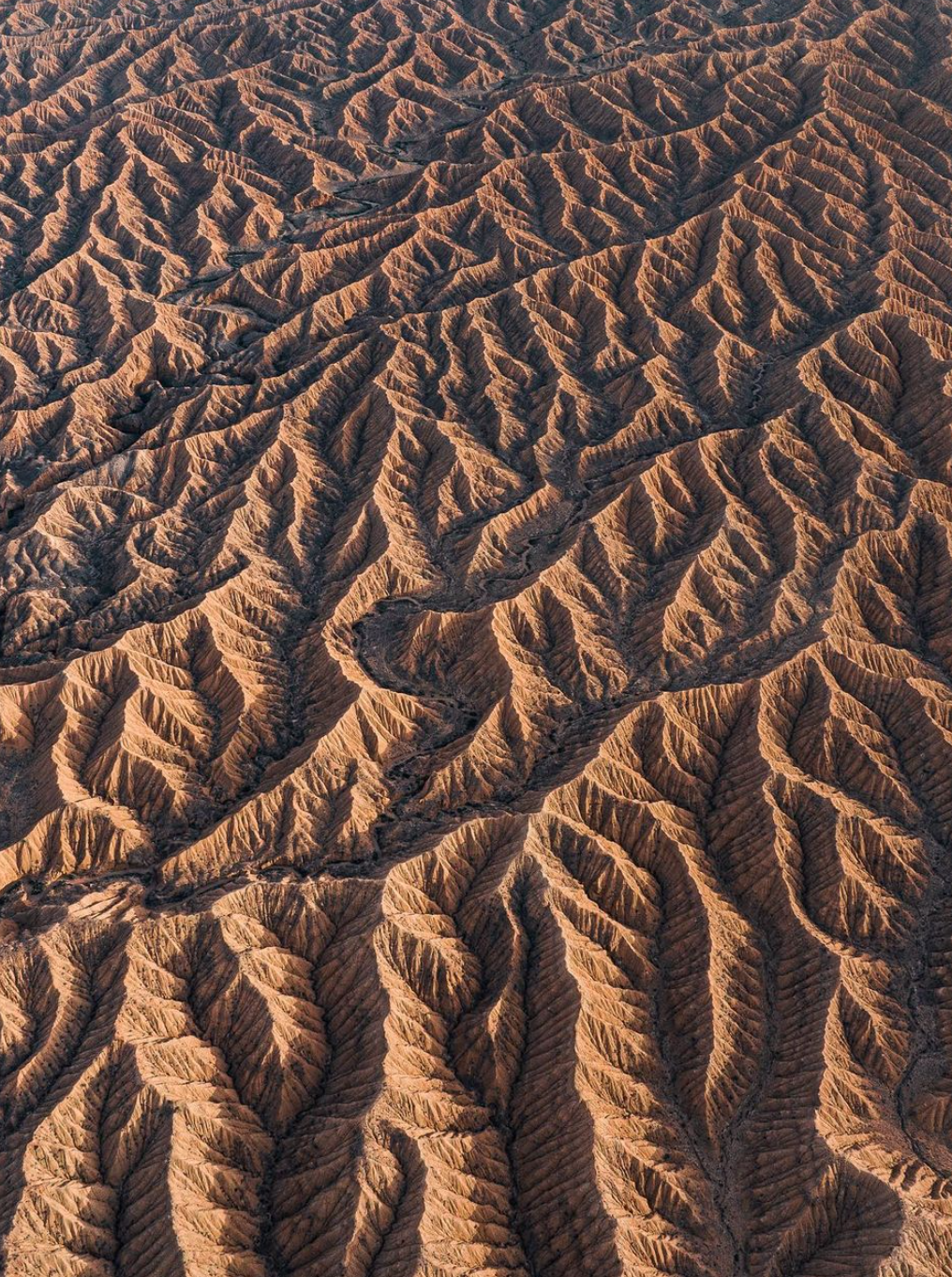 Экспедиция к Небесным Озерам: Сон-Куль и Кель-Суу (15/48)