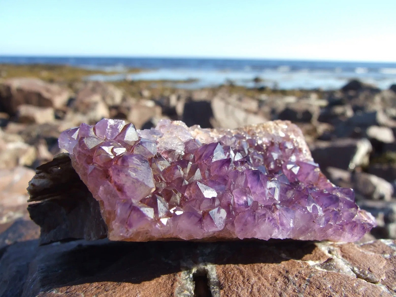 Экспедиция по Кольскому полуострову. Терский берег (11/49)