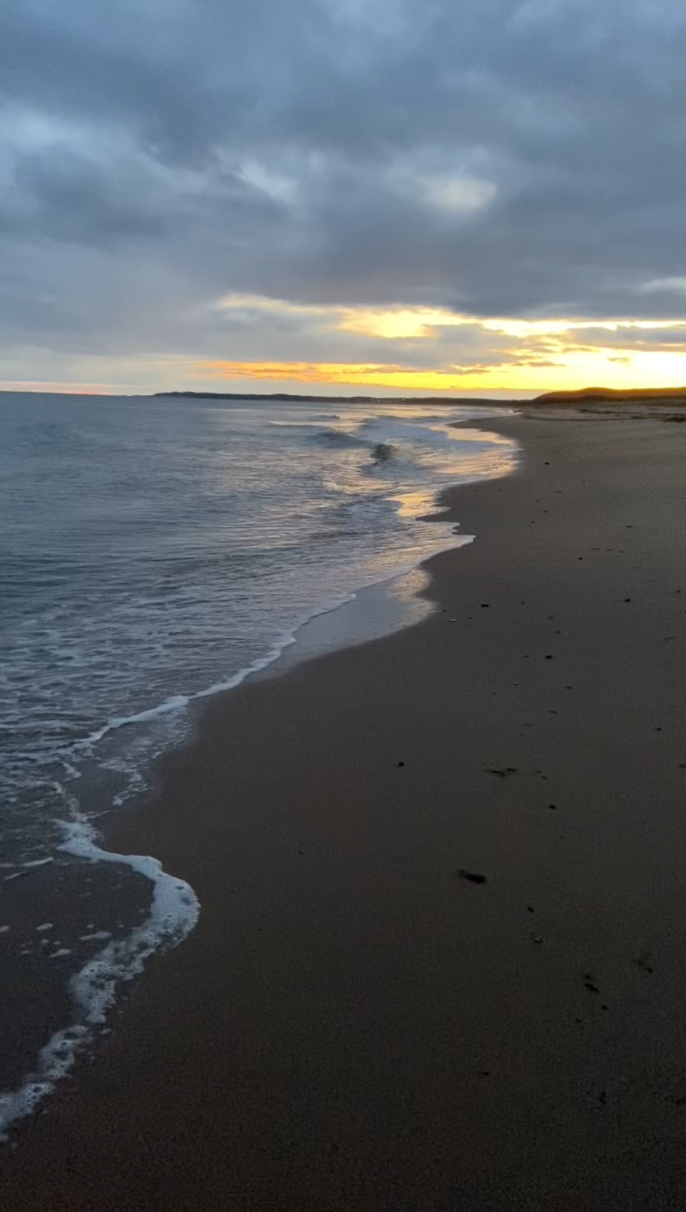 Экспедиция по Кольскому полуострову. Терский берег (16/49)