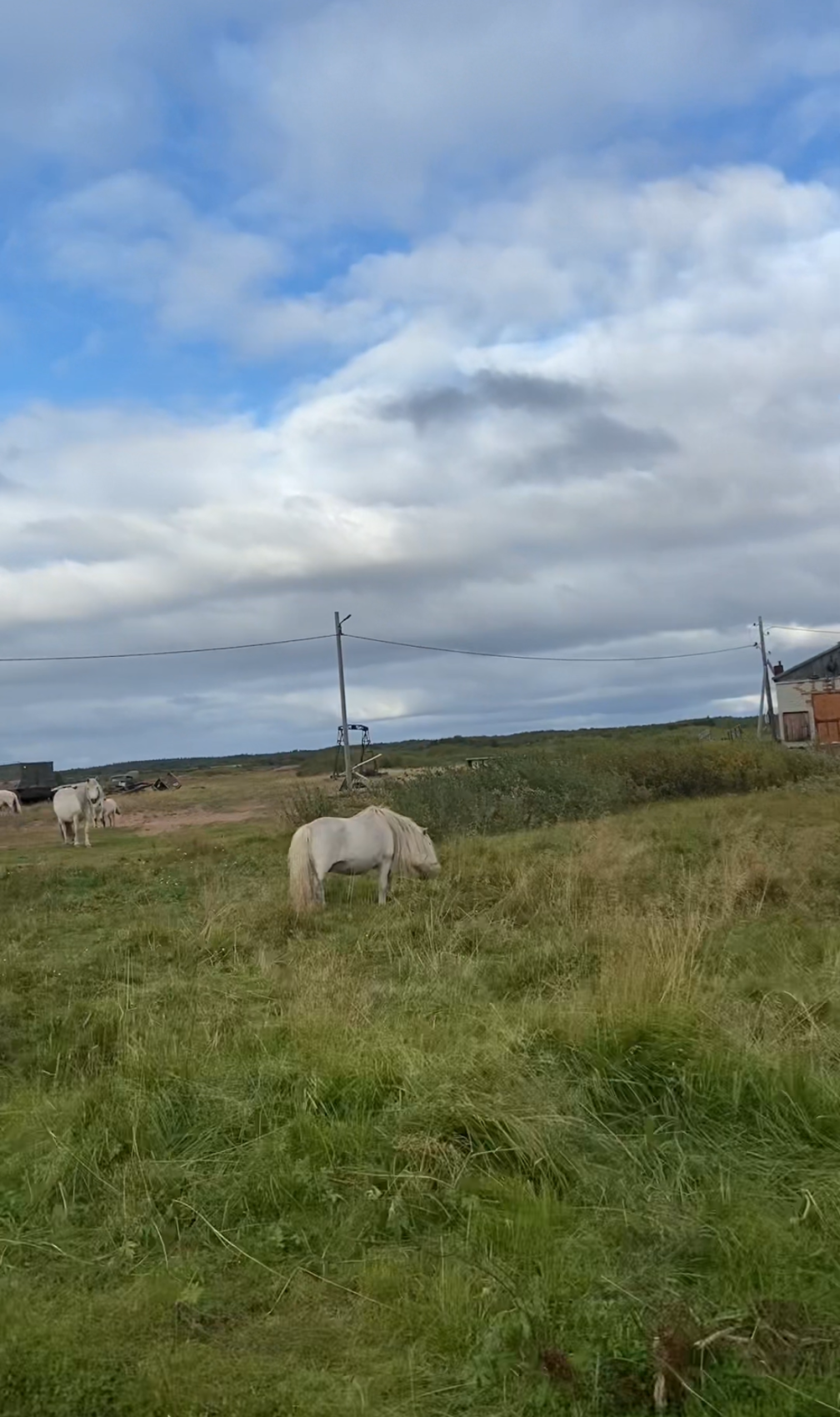 Экспедиция по Кольскому полуострову. Терский берег (17/49)
