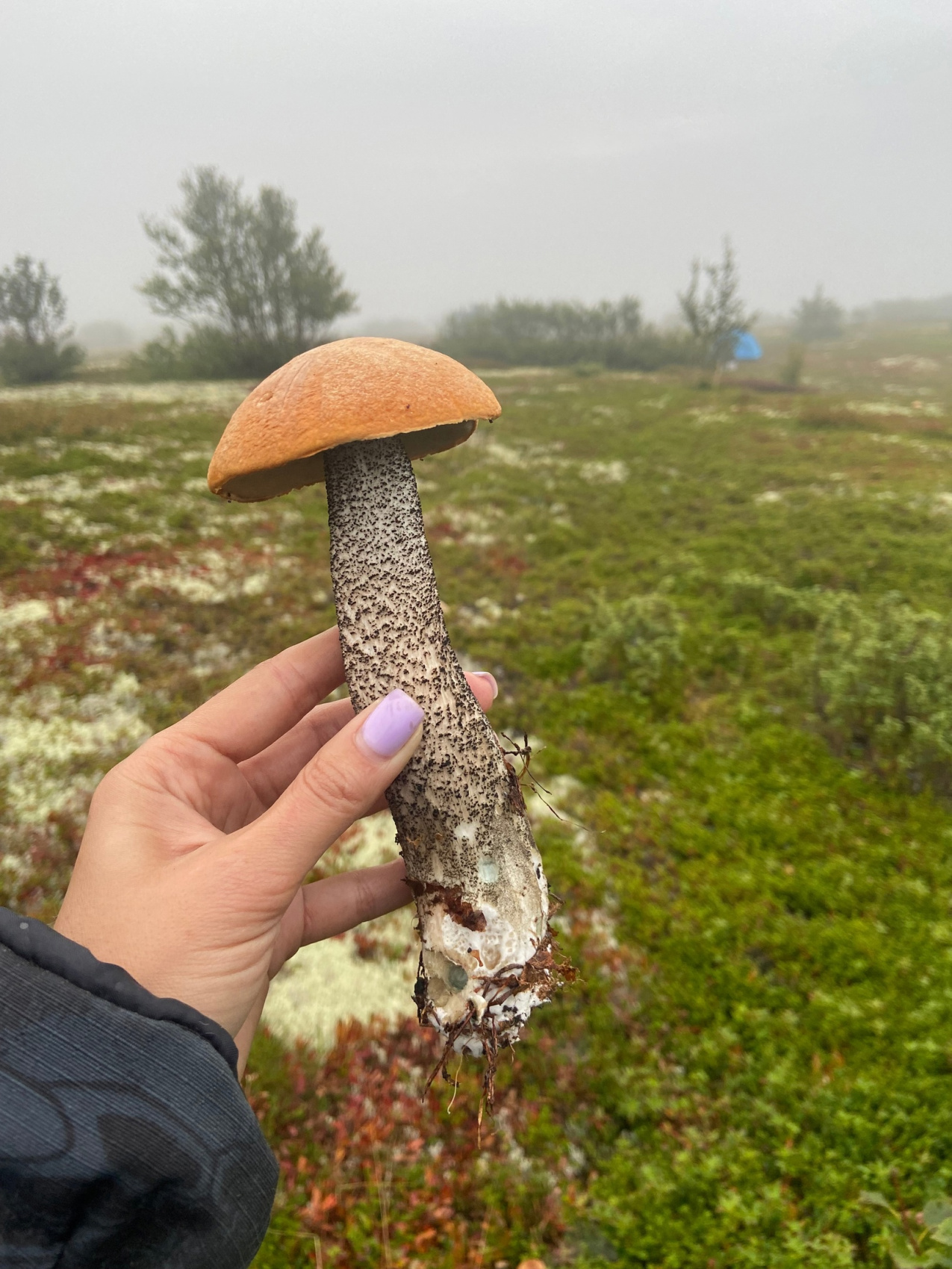Экспедиция по Кольскому полуострову. Терский берег (24/49)