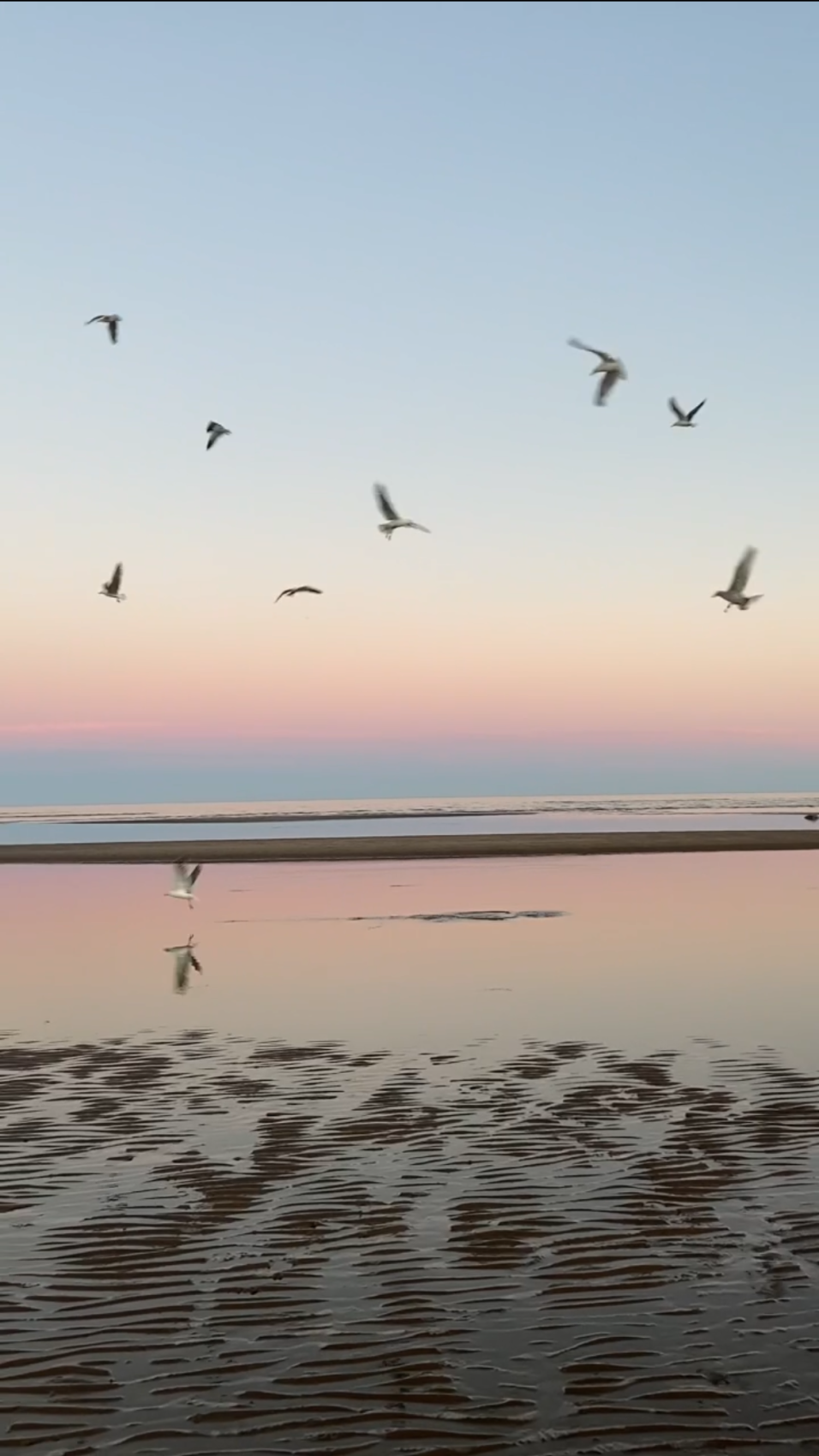 Экспедиция по Кольскому полуострову. Терский берег (4/49)