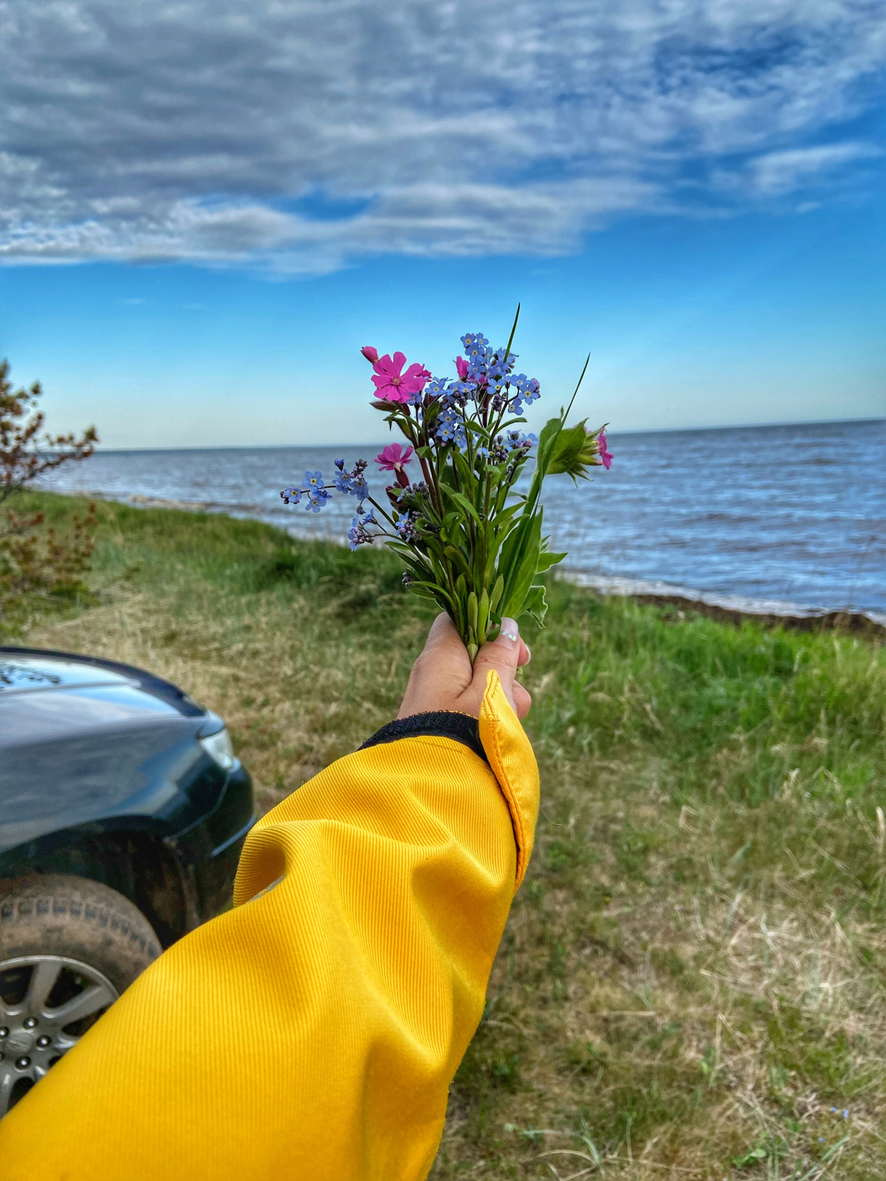 Экспедиция по Кольскому полуострову. Терский берег (28/49)