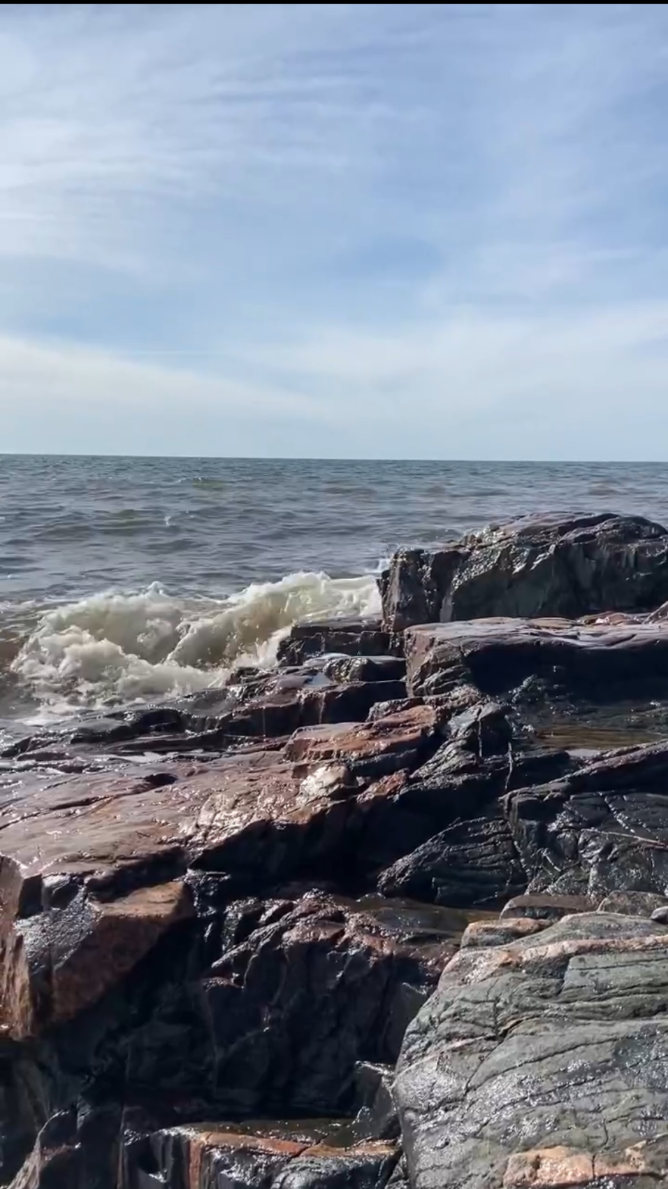 Экспедиция по Кольскому полуострову. Терский берег (27/49)