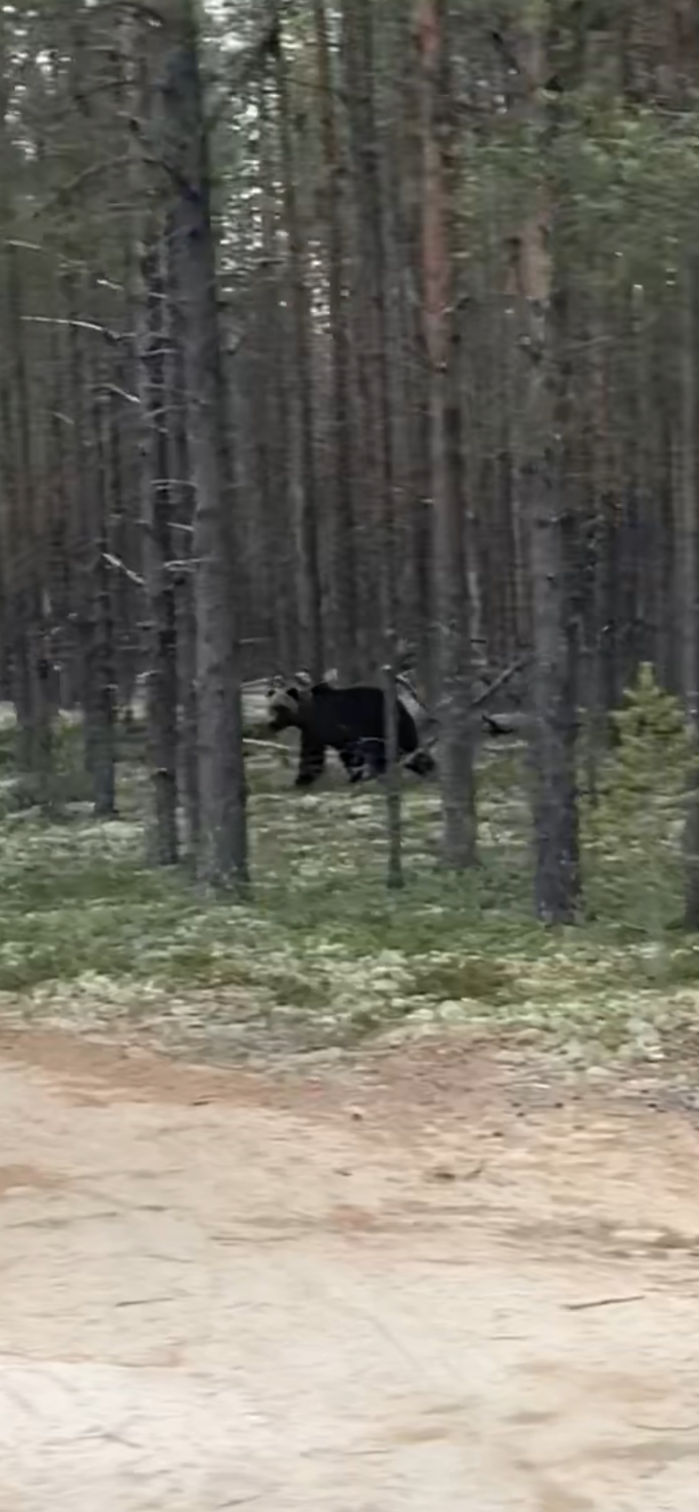 Экспедиция по Кольскому полуострову. Терский берег (18/49)