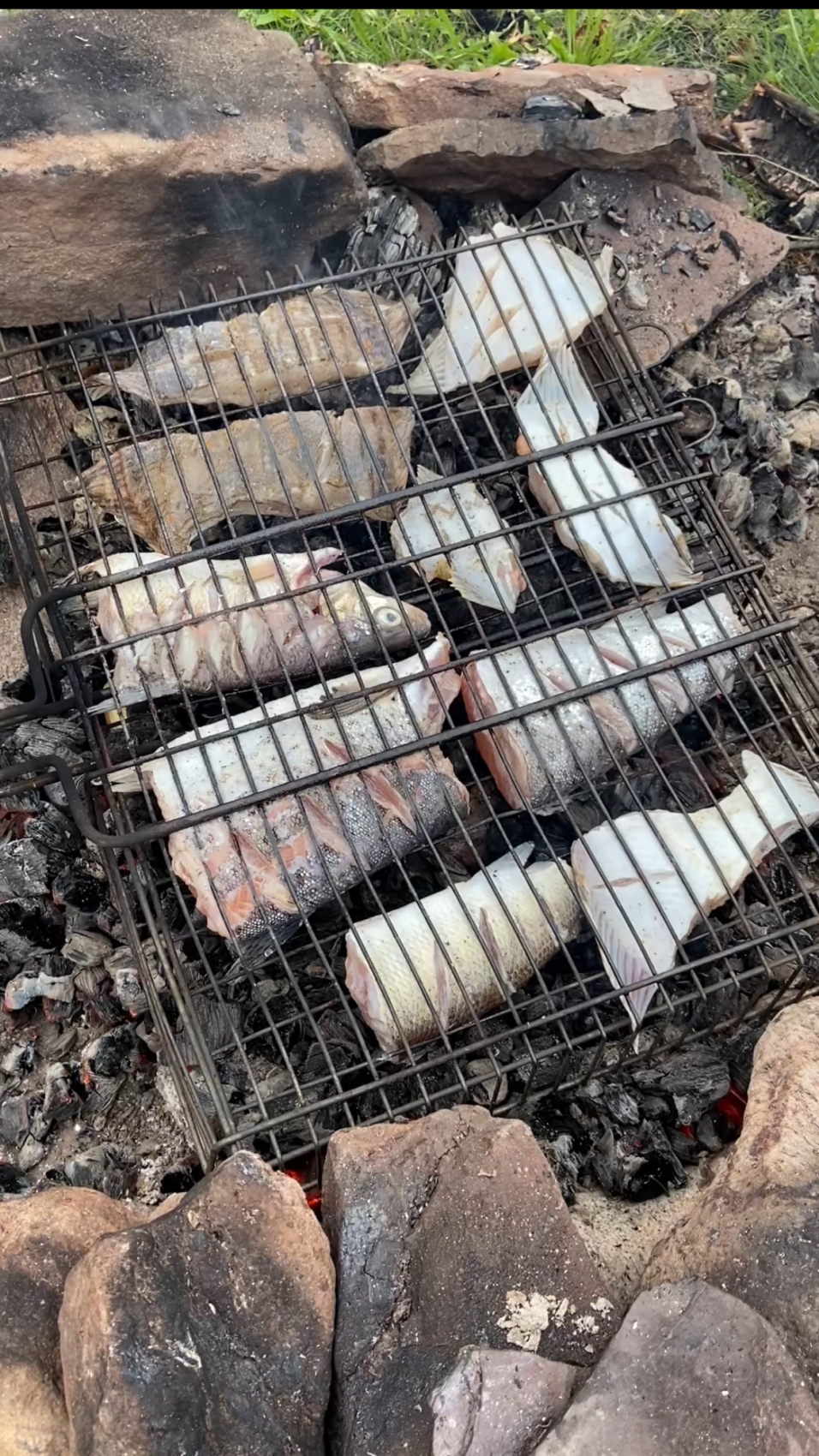 Экспедиция по Кольскому полуострову. Терский берег (14/49)