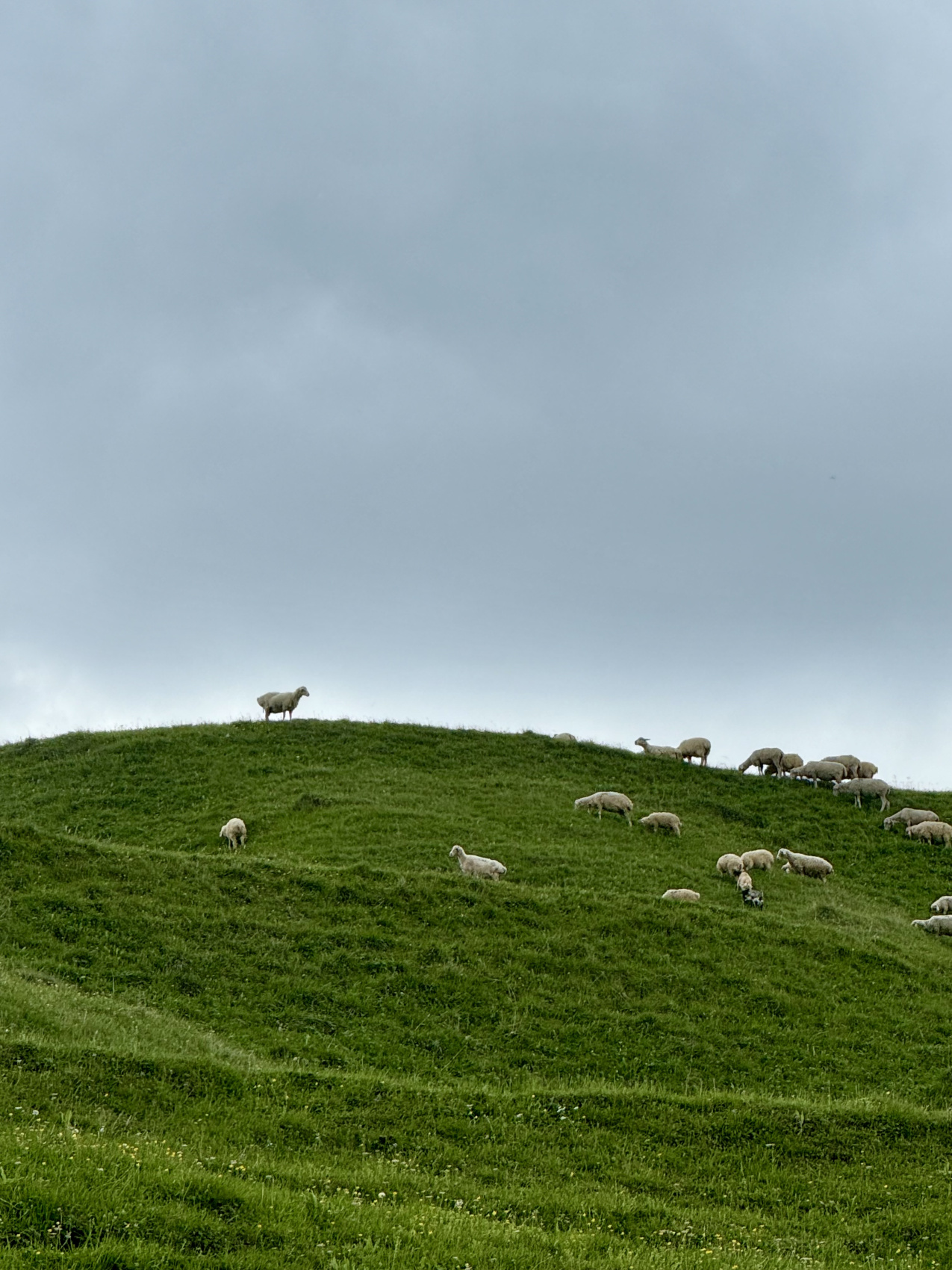 Комфортный Дагестан за 4 дня (39/52)