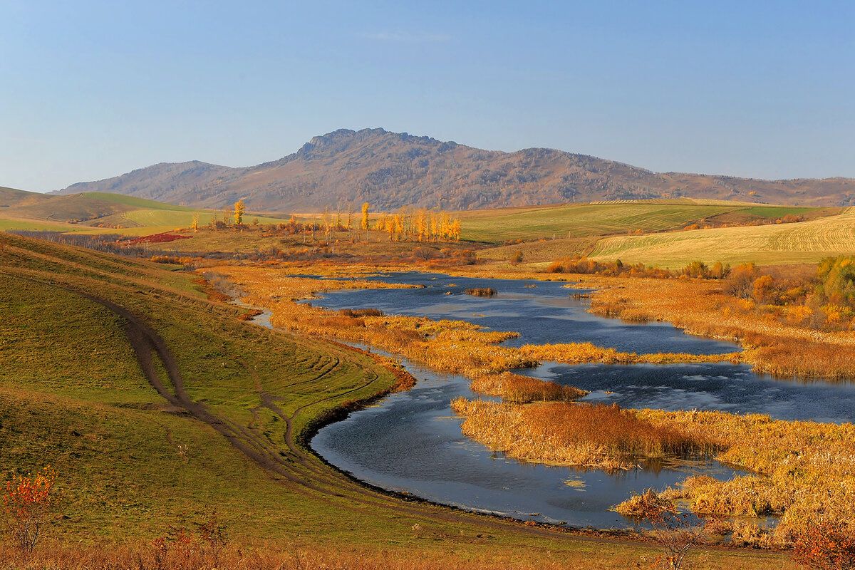 Золотое Кольцо Алтая 2026. Гейзерное озеро, шаман, Марс, Телецкое. (45/67)