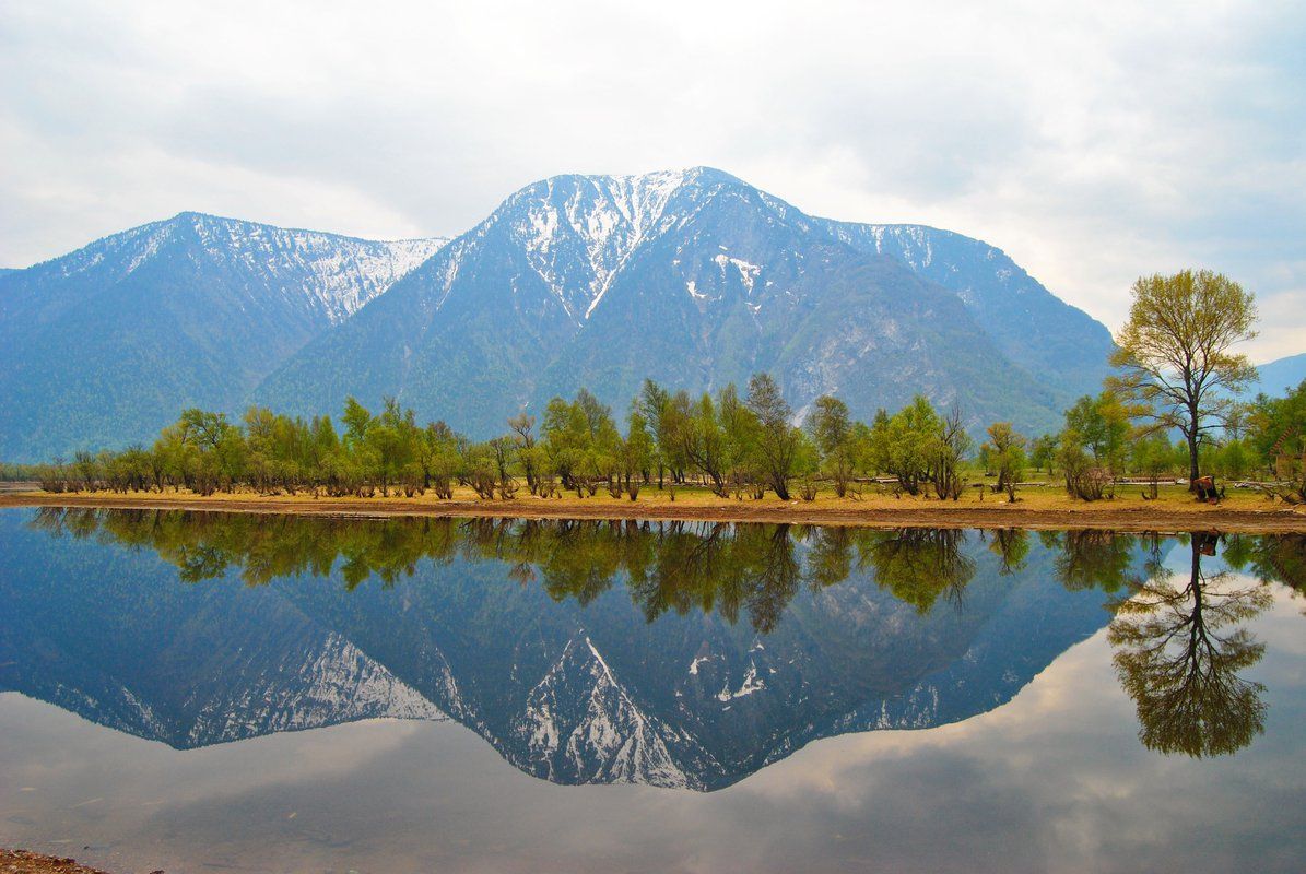 Алтайская Кругосветка 2026. Гейзерное озеро, шаман, Марс, Телецкое. (26/80)