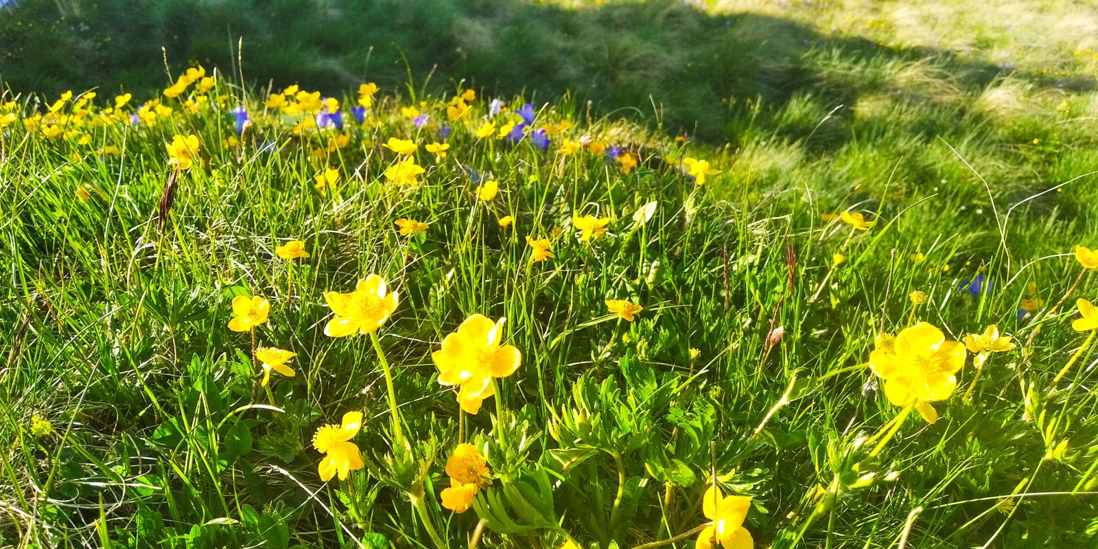 Тур выходного дня Перезагрузка (53/102)