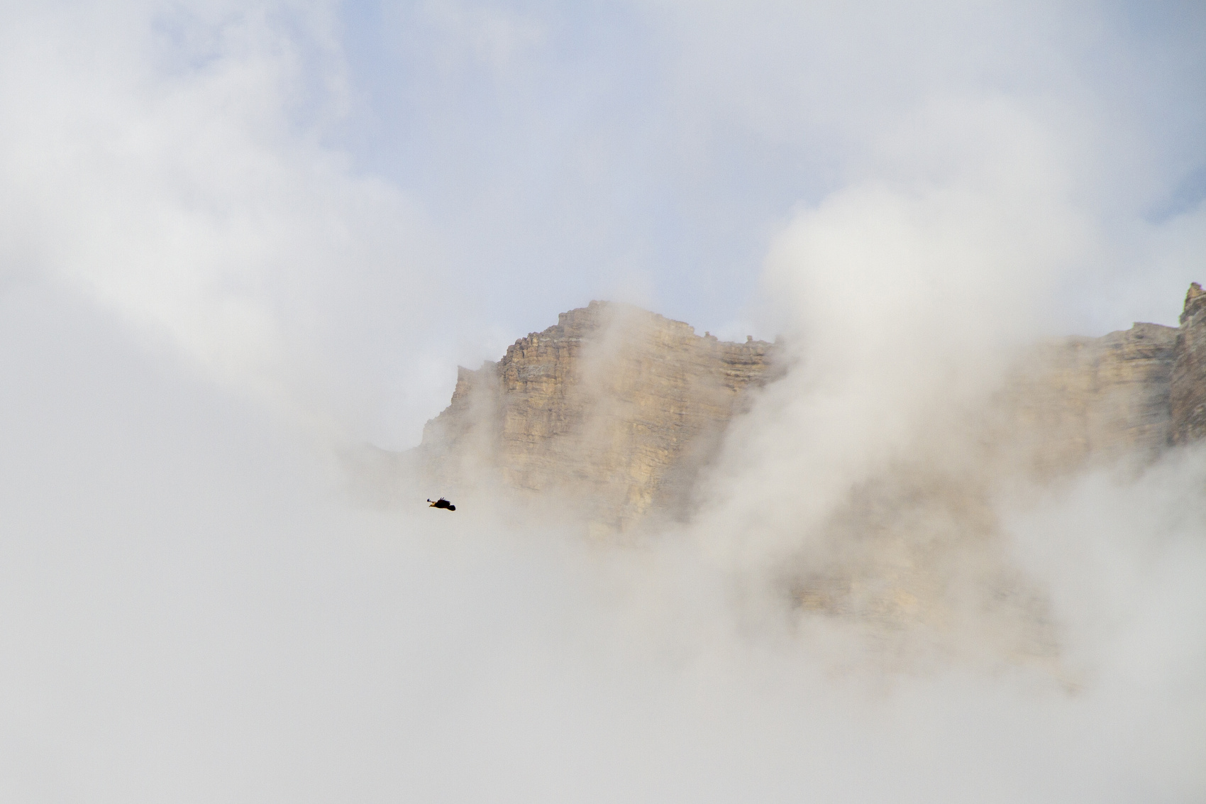 Тур выходного дня Перезагрузка (3/102)