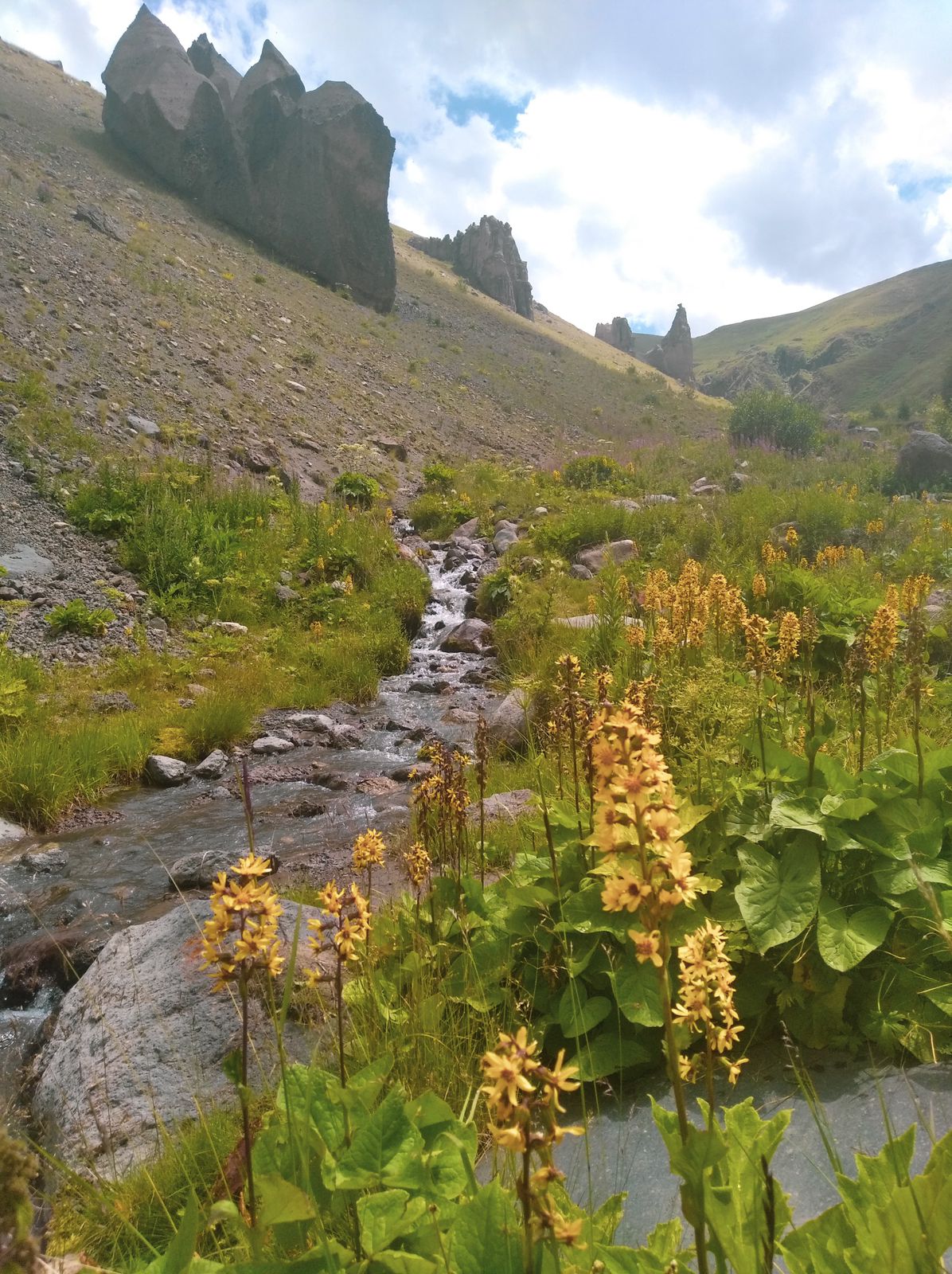 Тур выходного дня Перезагрузка (84/102)