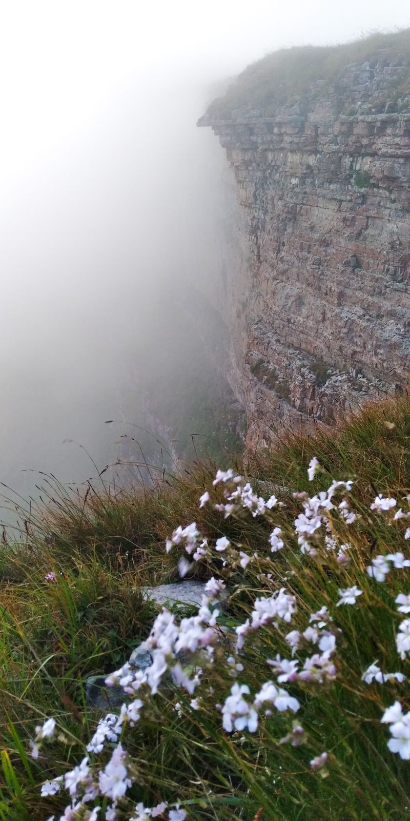 Тур выходного дня Перезагрузка (44/102)