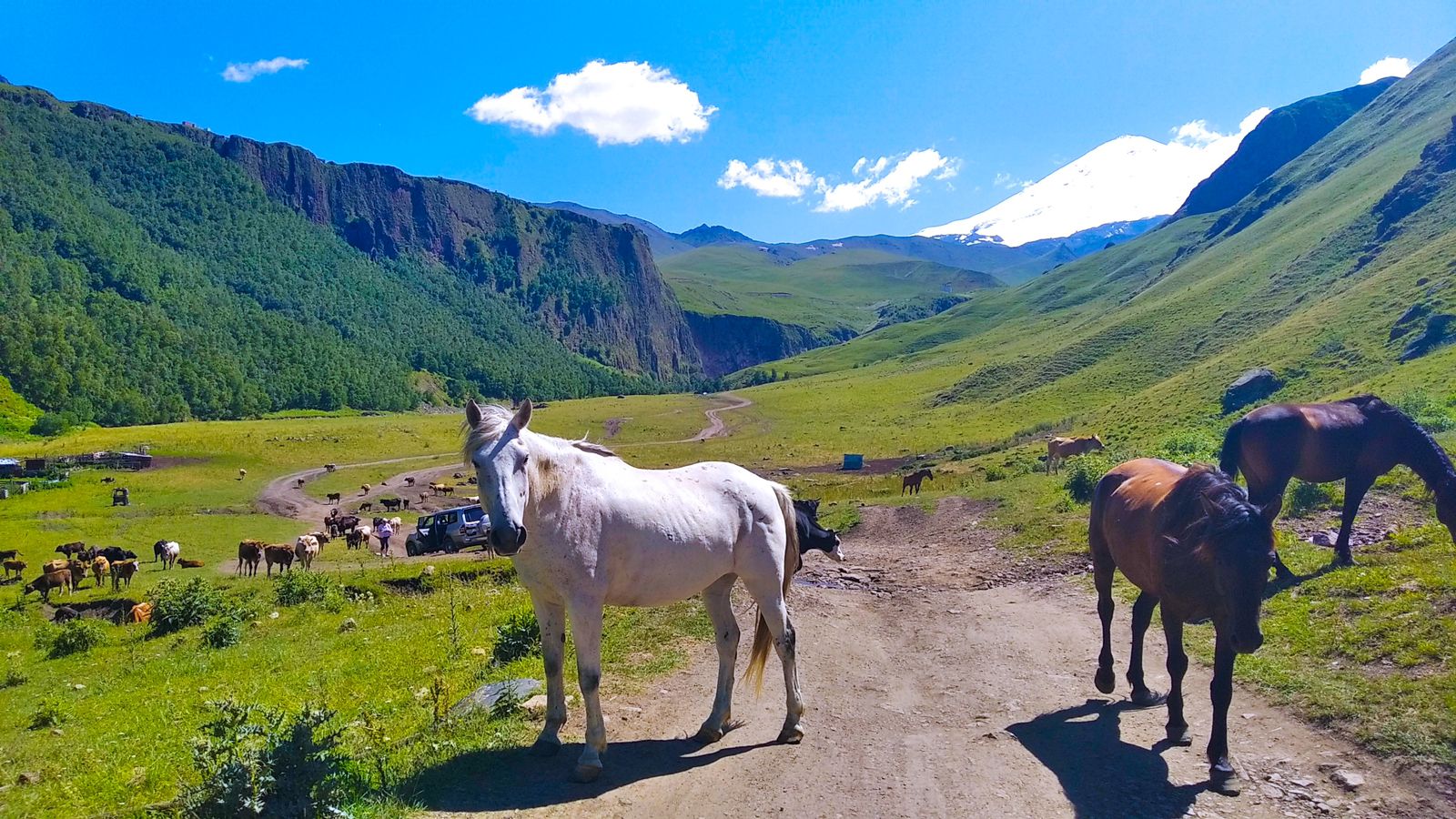 Тур выходного дня Перезагрузка (47/102)