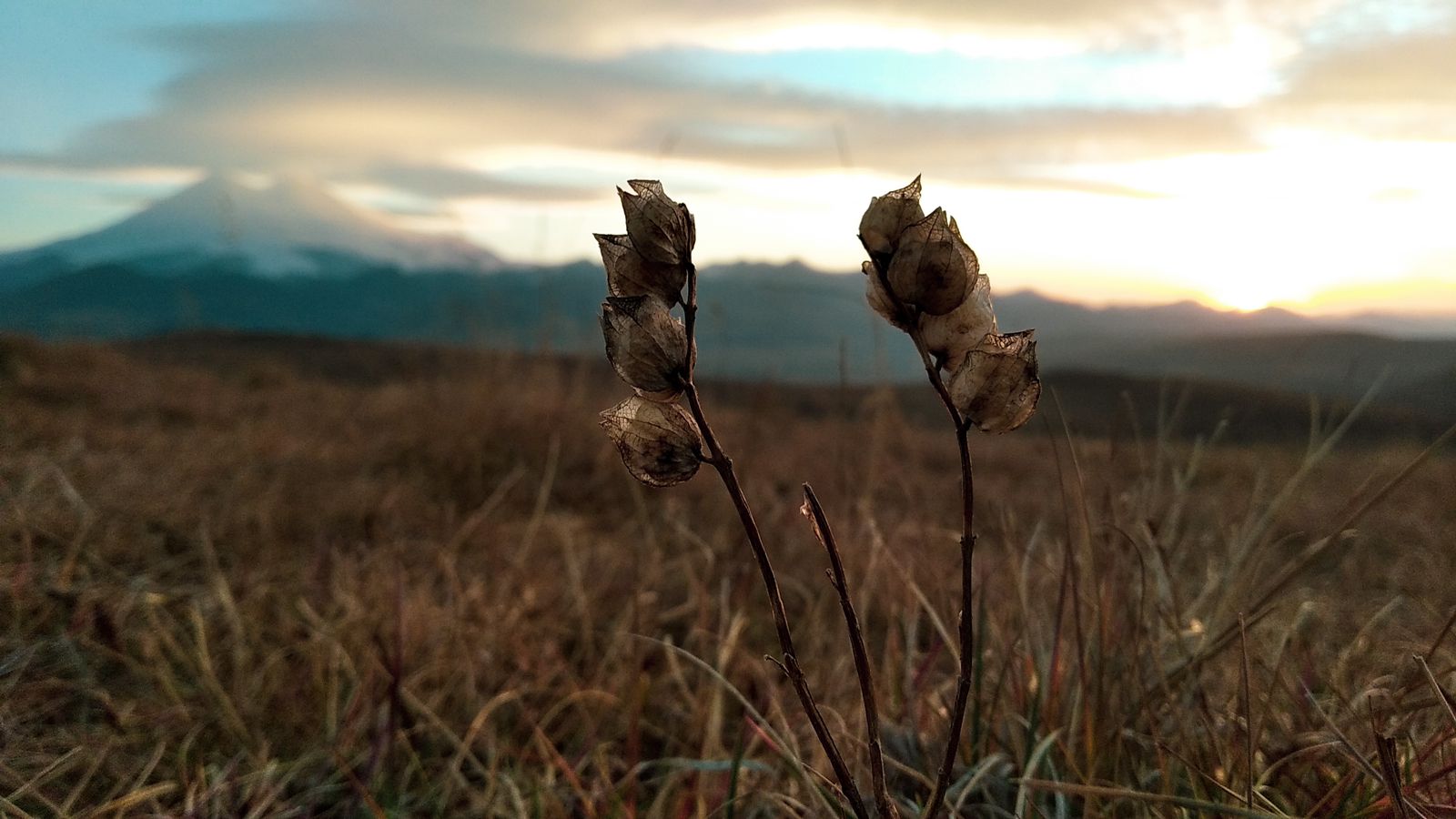 Тур выходного дня Перезагрузка (82/102)
