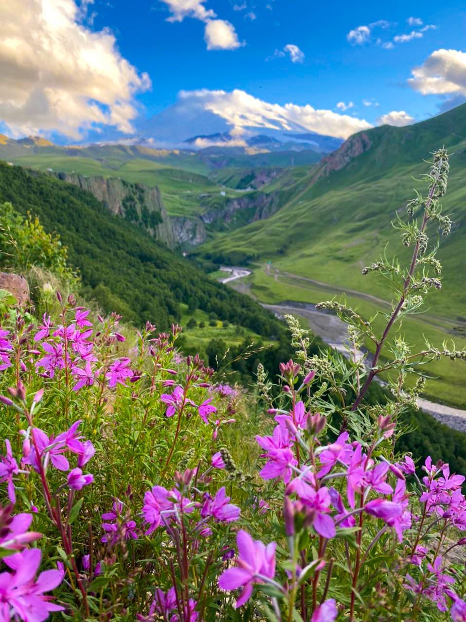 Тур выходного дня Перезагрузка