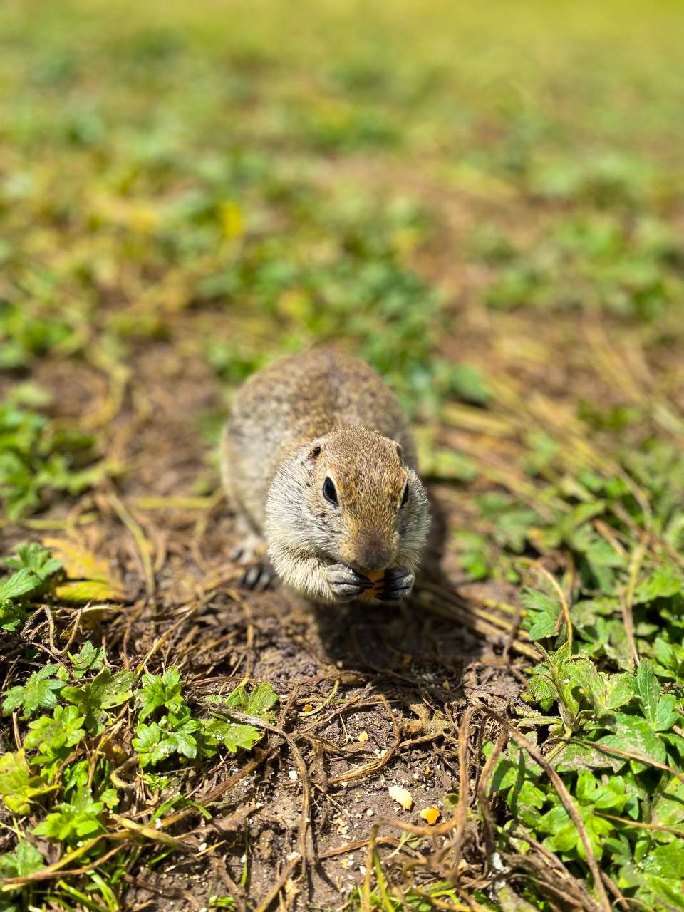 Тур выходного дня Перезагрузка (13/102)