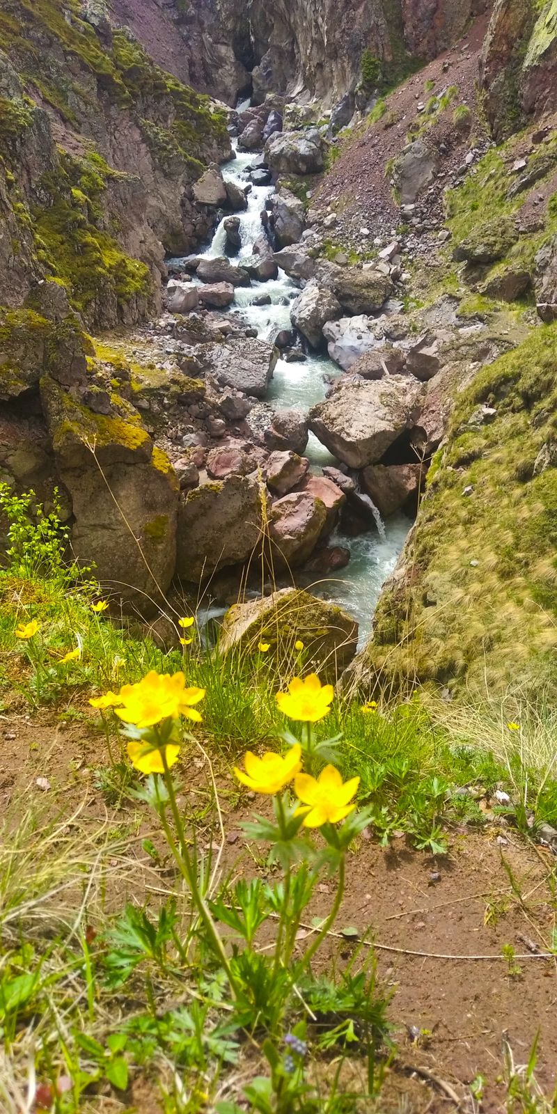 Тур выходного дня Перезагрузка (60/102)