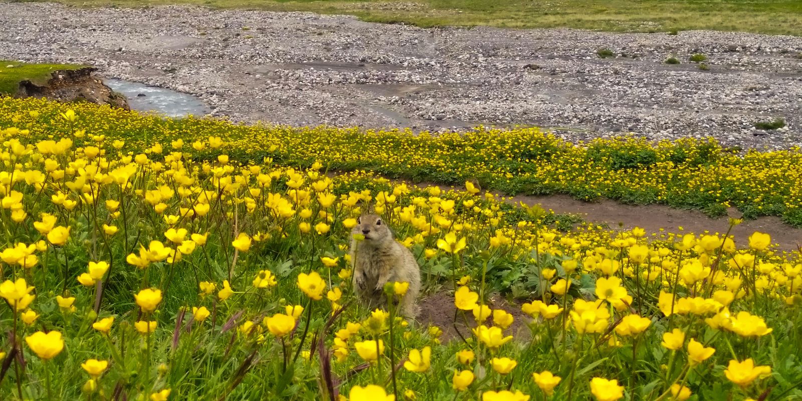 Тур выходного дня Перезагрузка (54/102)