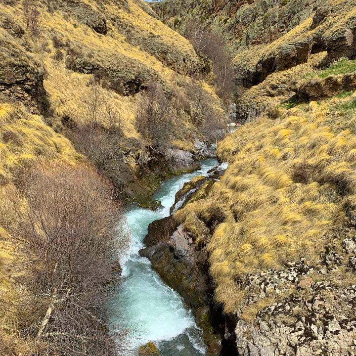 Тур выходного дня Перезагрузка (68/102)