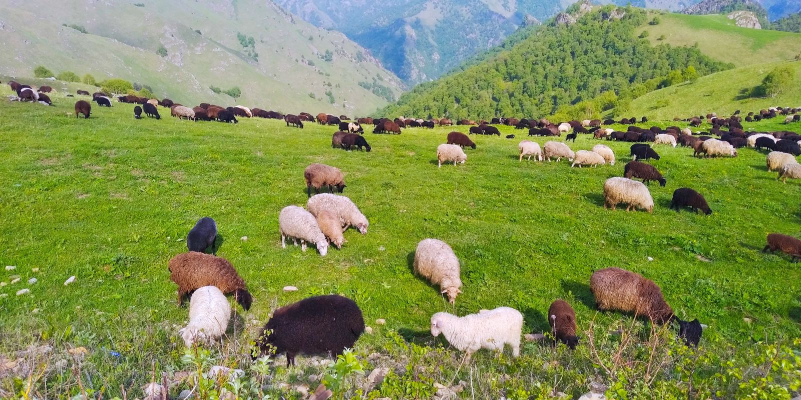 Тур выходного дня Перезагрузка (59/102)