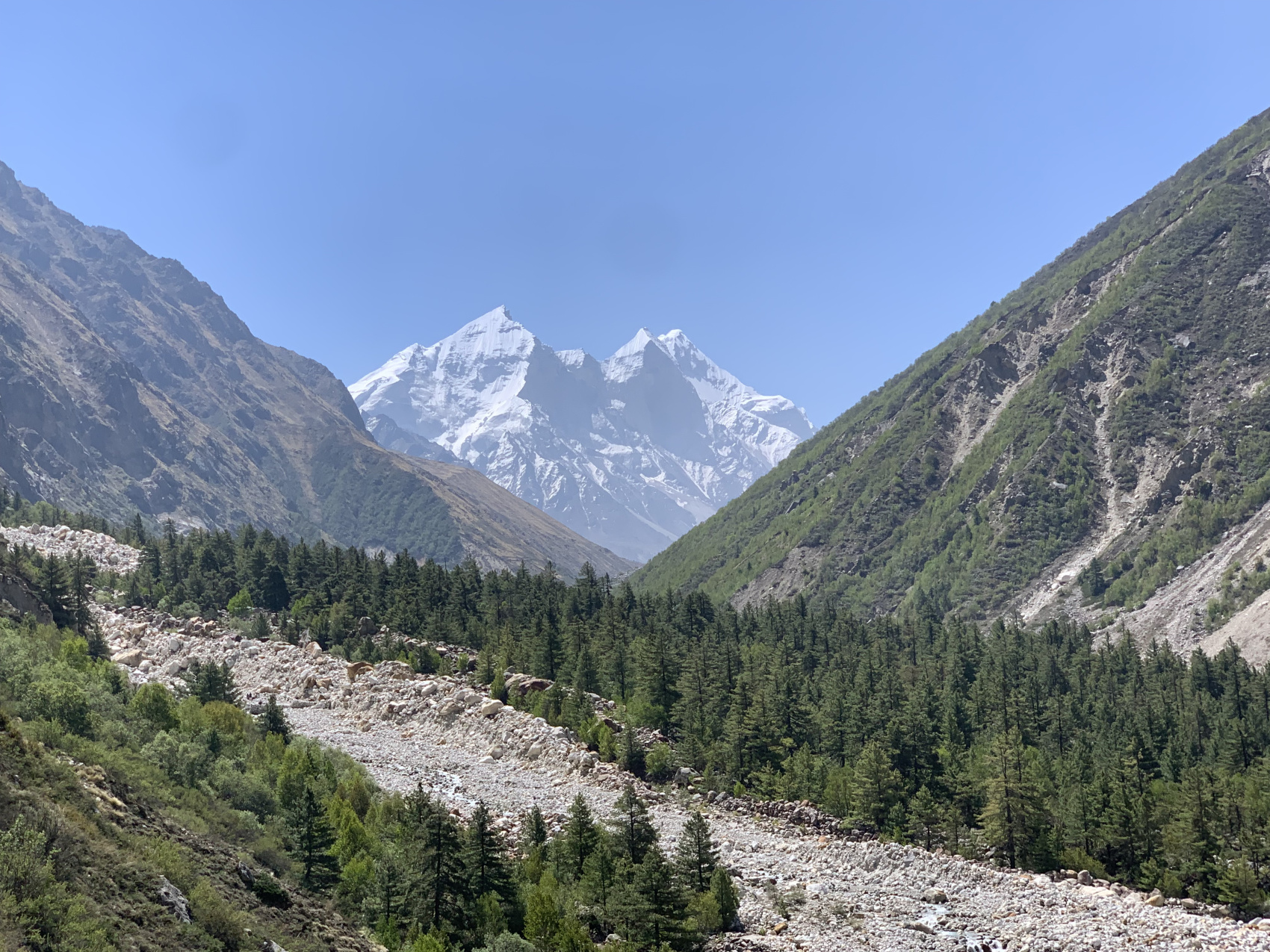 Тур в Гималаи : Четыре обители (8/34)