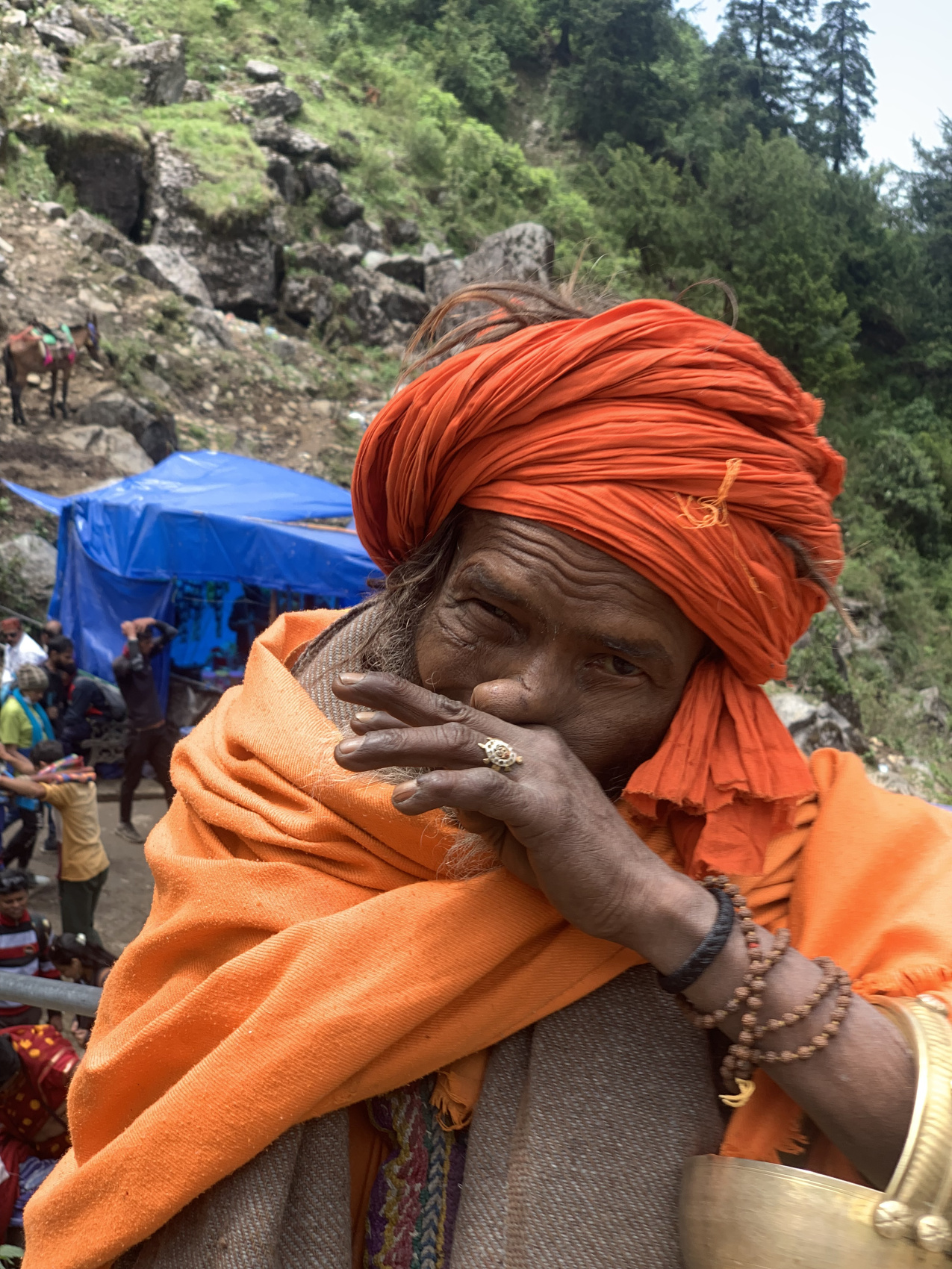 Тур в Гималаи : Четыре обители (12/34)