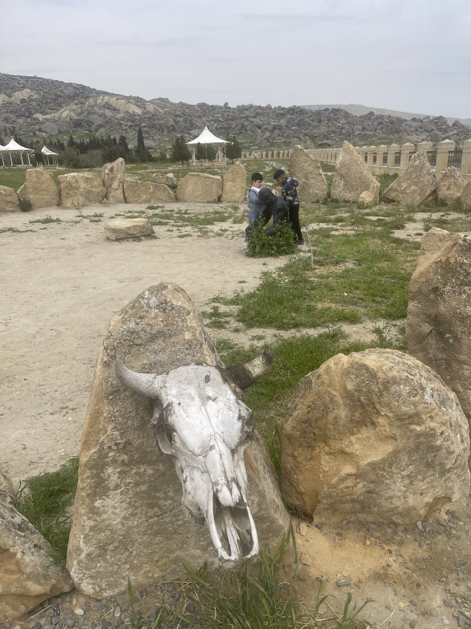 Азербайджан. 4 дня притяжения: история, современность, море и кухня. (13/157)