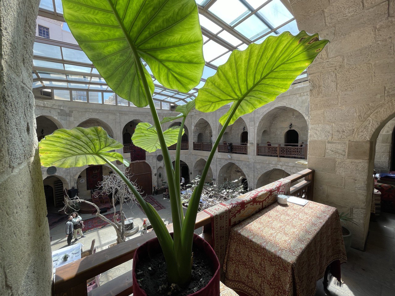 Азербайджан. 4 дня притяжения: история, современность, море и кухня. (46/157)